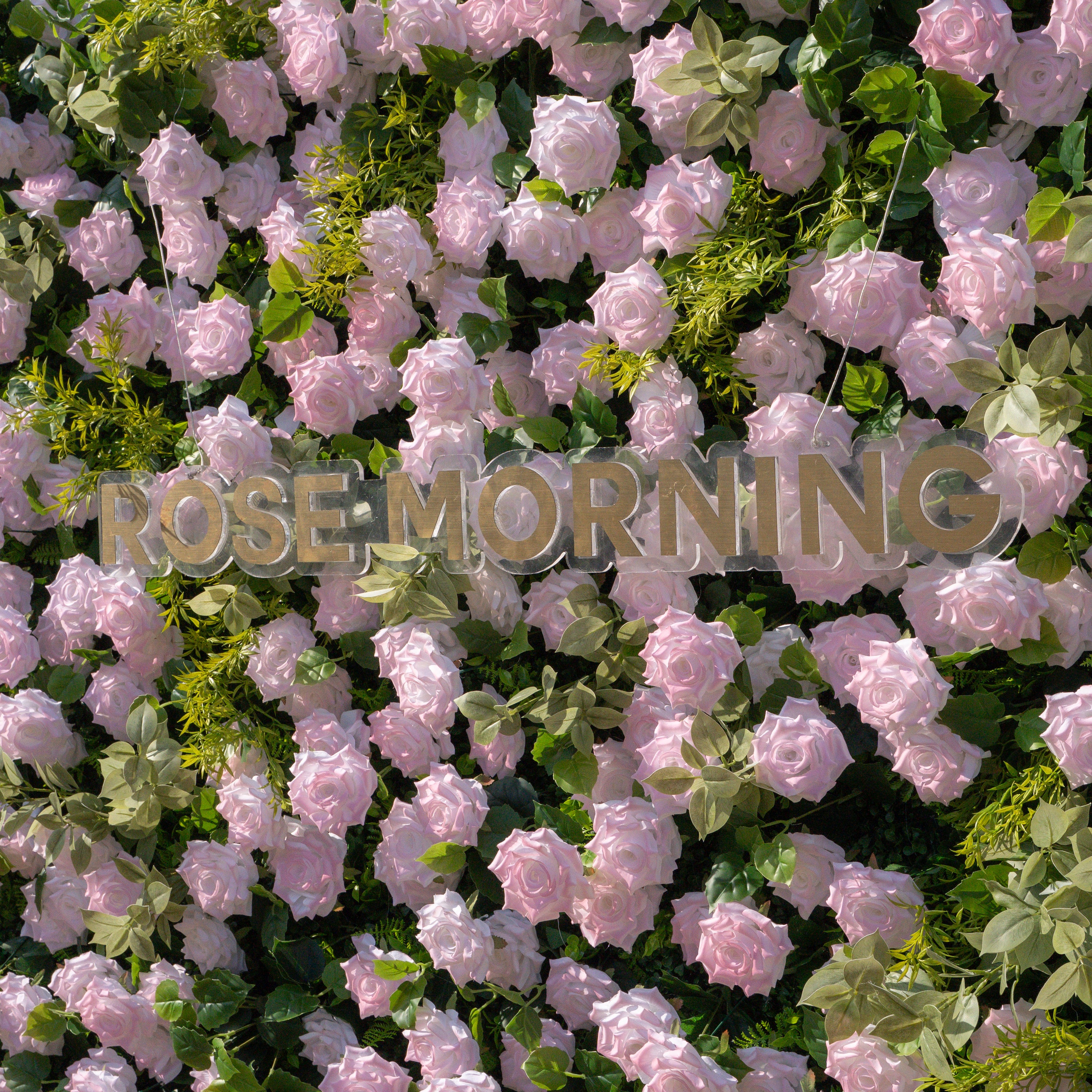 Magica：2026 New Launch-Sun-Activated Color-Changing Rose Flower Wall Backdrop (8×8) — One Wall, Two Looks: White Indoors → Blush Pink in Sunlight