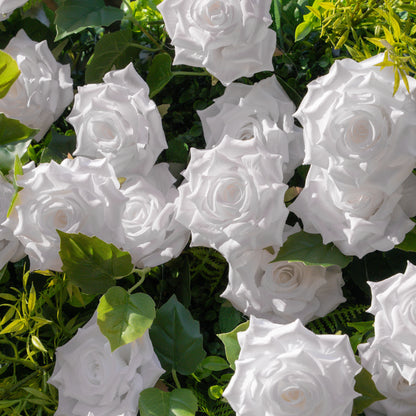 Magica：Sun-Activated Color-Changing Rose Flower Wall Backdrop (8×8) — One Wall, Two Looks: White Indoors → Blush Pink in Sunlight