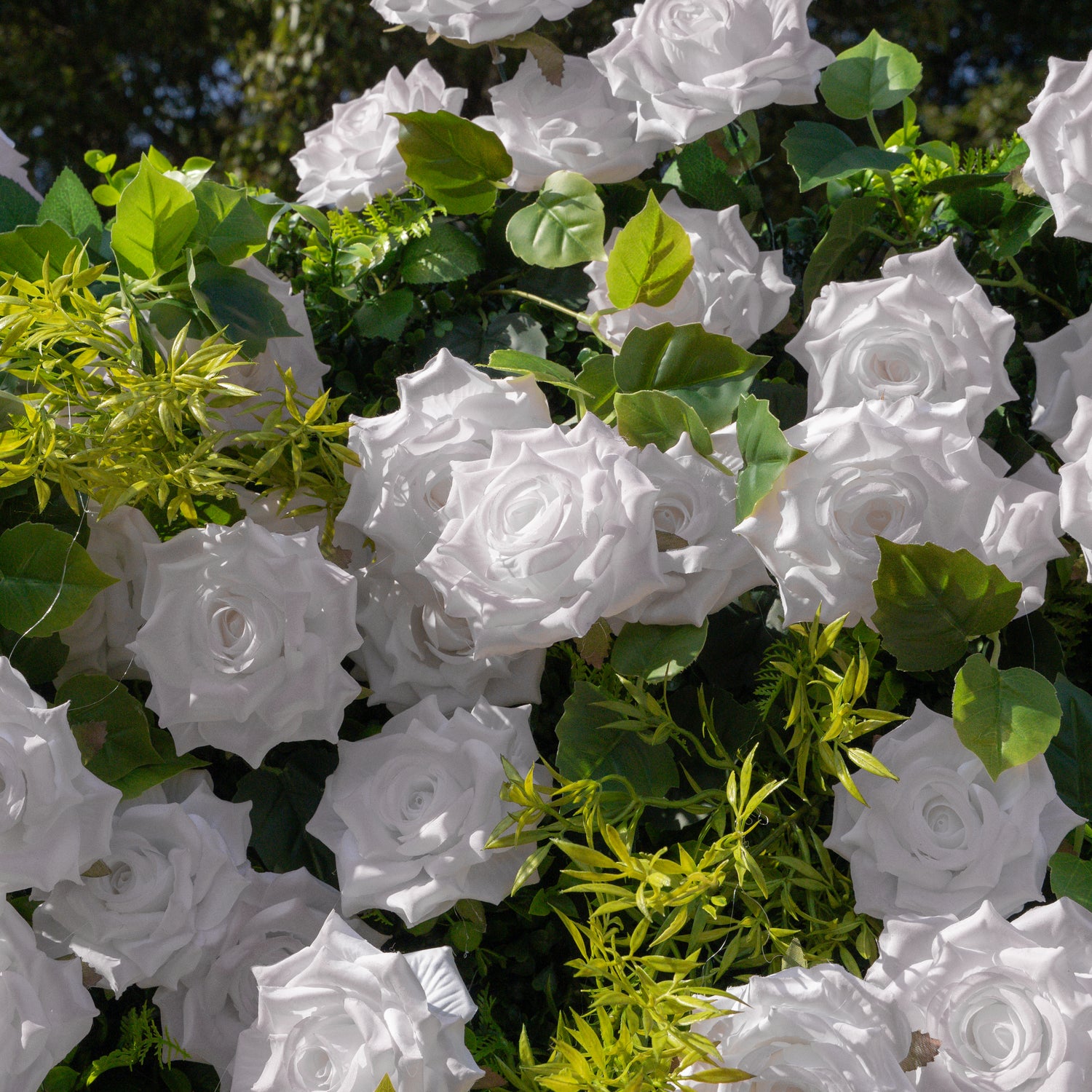 Magica：Sun-Activated Color-Changing Rose Flower Wall Backdrop (8×8) — One Wall, Two Looks: White Indoors → Blush Pink in Sunlight