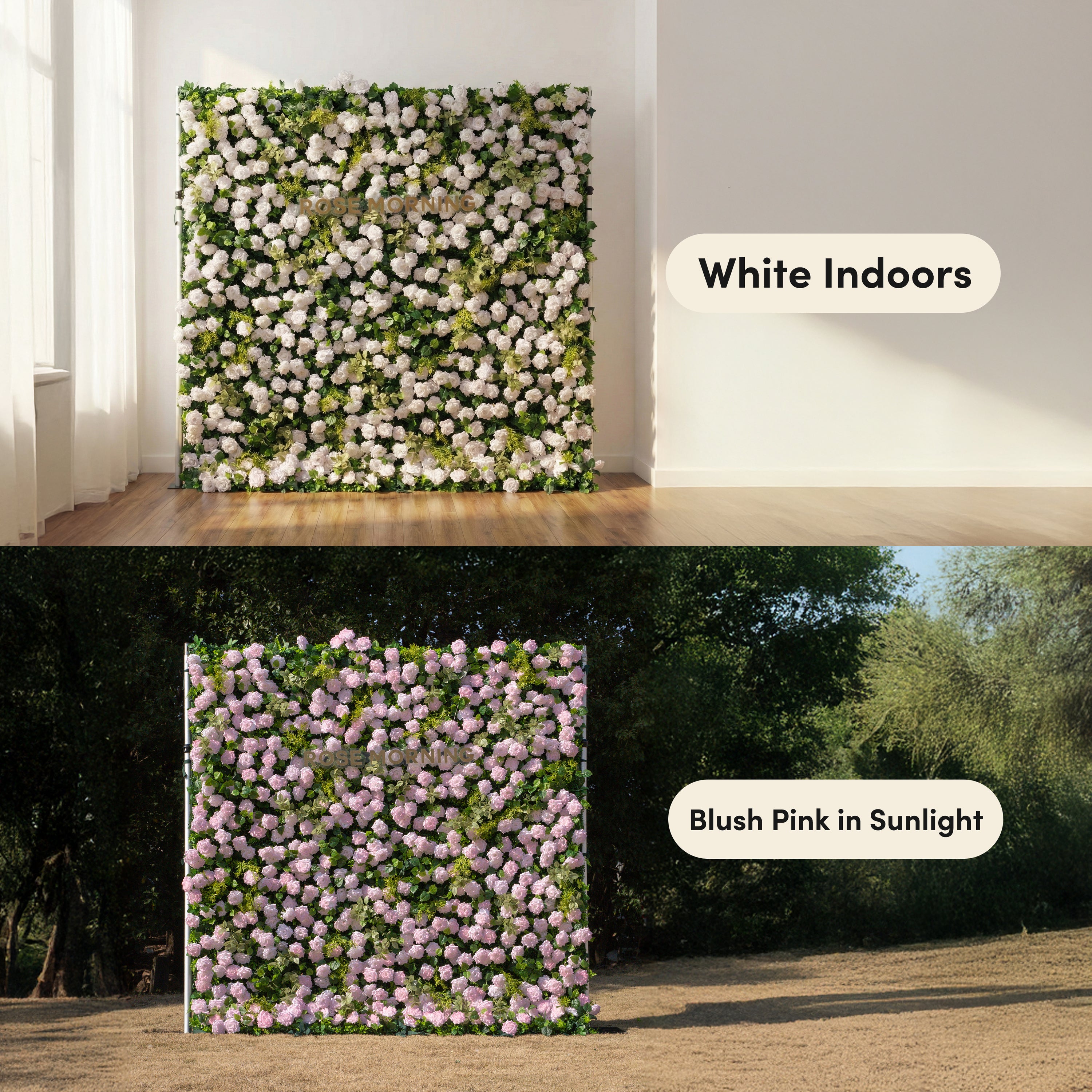 Magica：2026 New Launch-Sun-Activated Color-Changing Rose Flower Wall Backdrop (8×8) — One Wall, Two Looks: White Indoors → Blush Pink in Sunlight