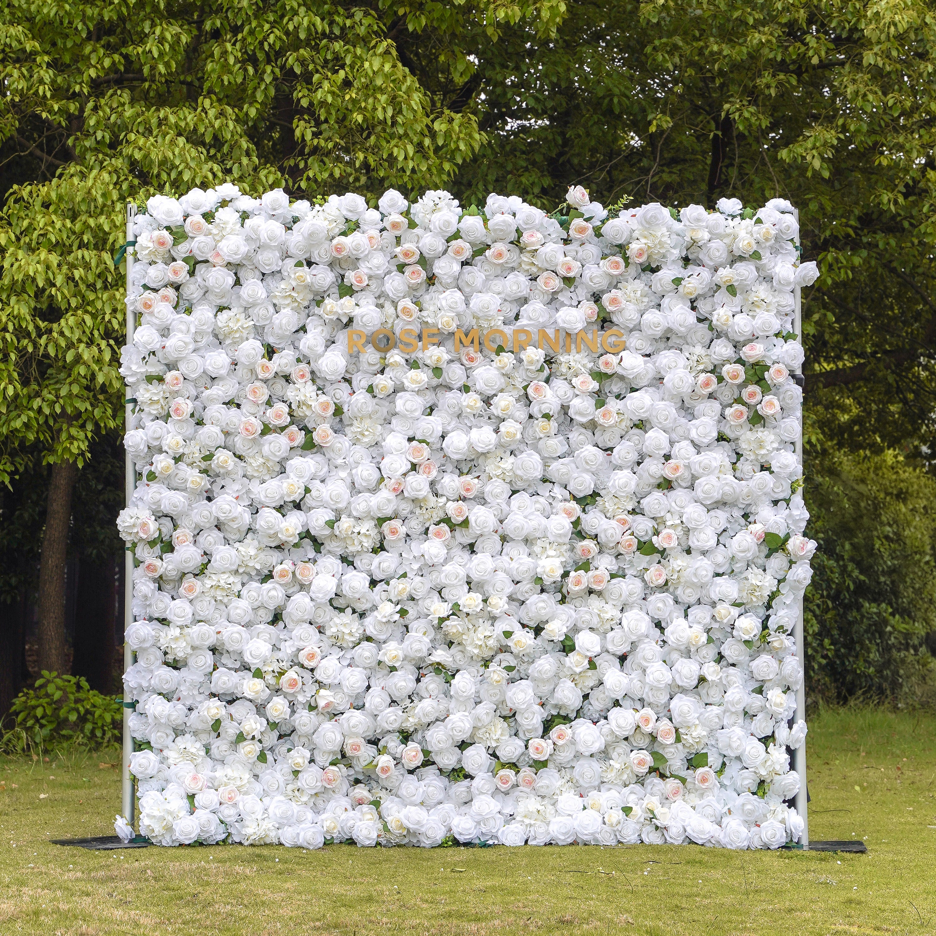 Majo：5D Fabric Artificial rolling up curtain flower wall Rose Morning