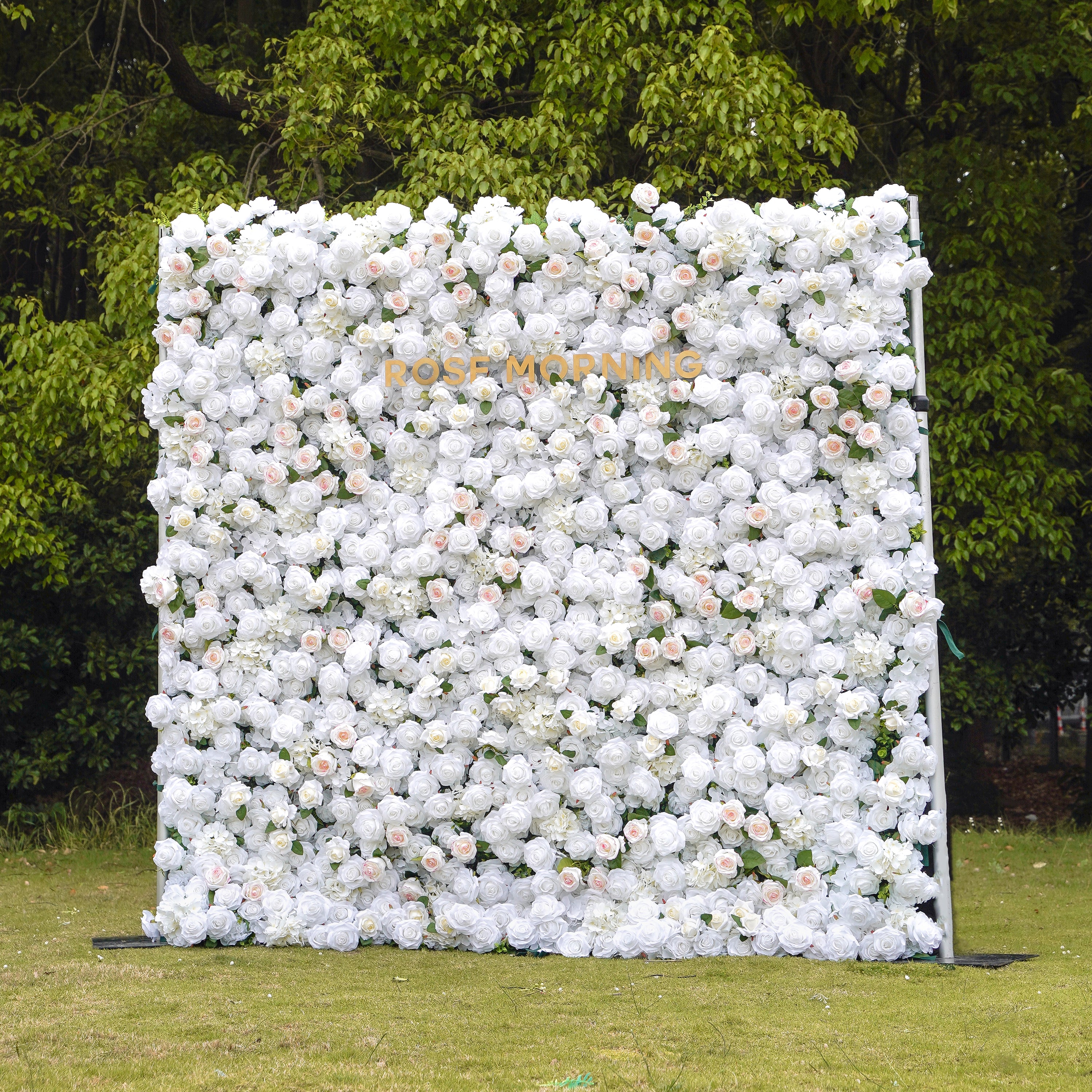 Majo：5D Fabric Artificial rolling up curtain flower wall Rose Morning