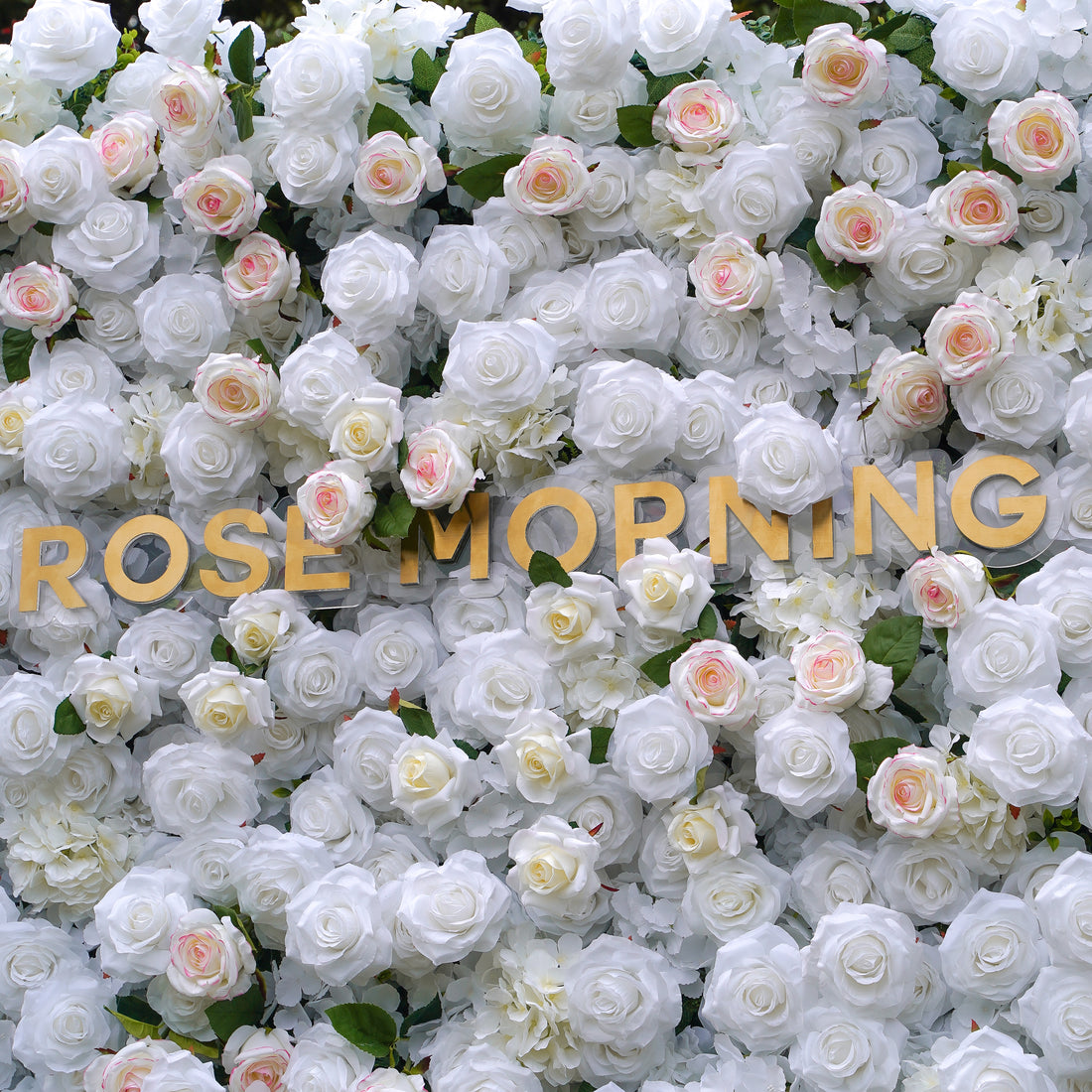 Majo:5D Fabric Artificial rolling up curtain flower wall Rose Morning