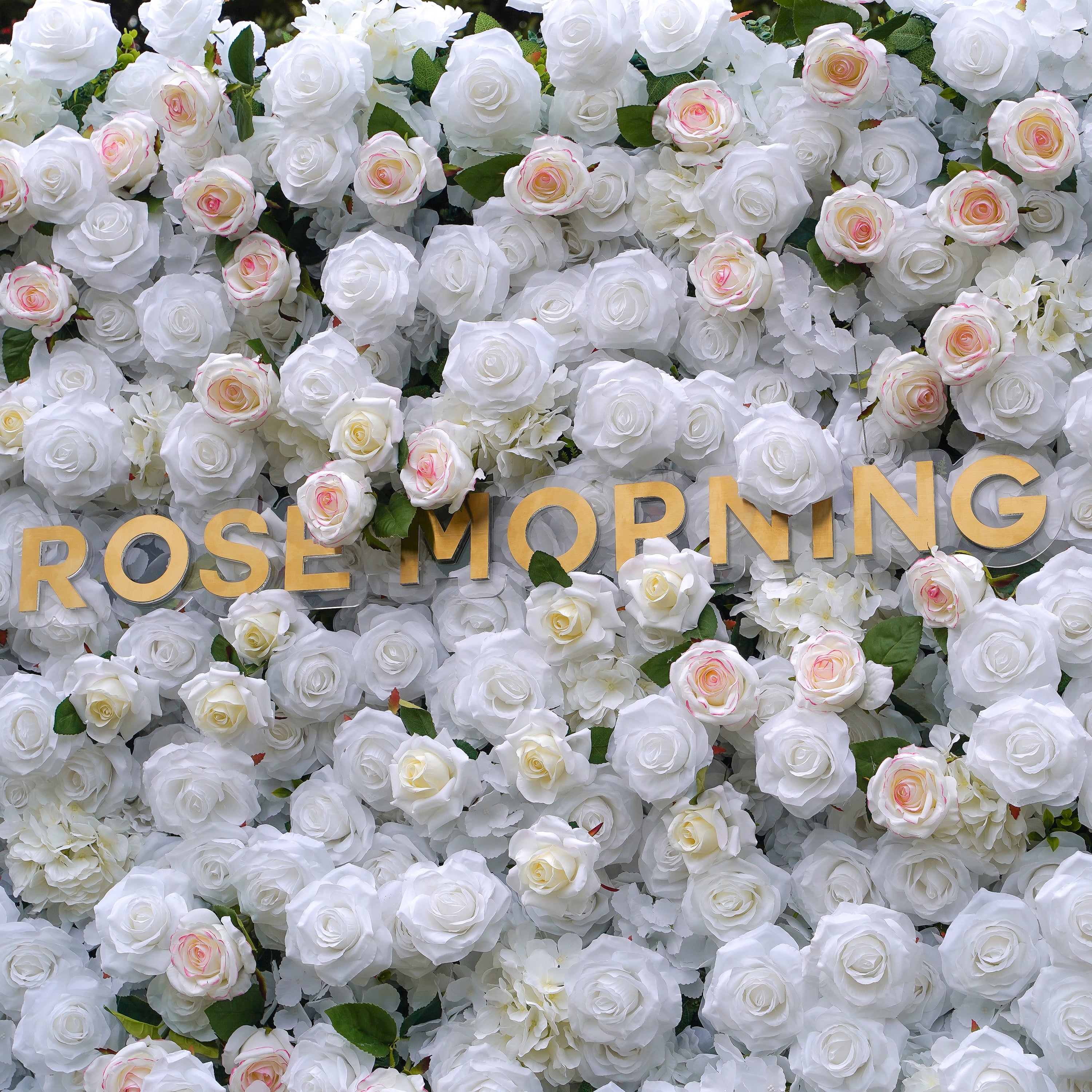 Majo：5D Fabric Artificial rolling up curtain flower wall Rose Morning