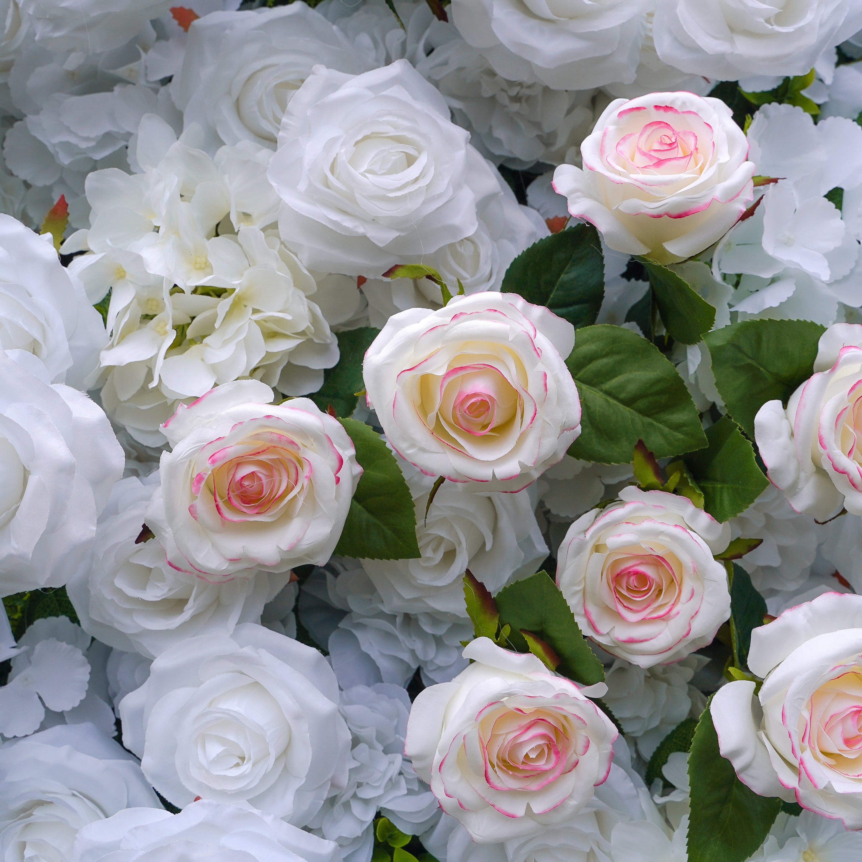 Majo：5D Fabric Artificial rolling up curtain flower wall Rose Morning