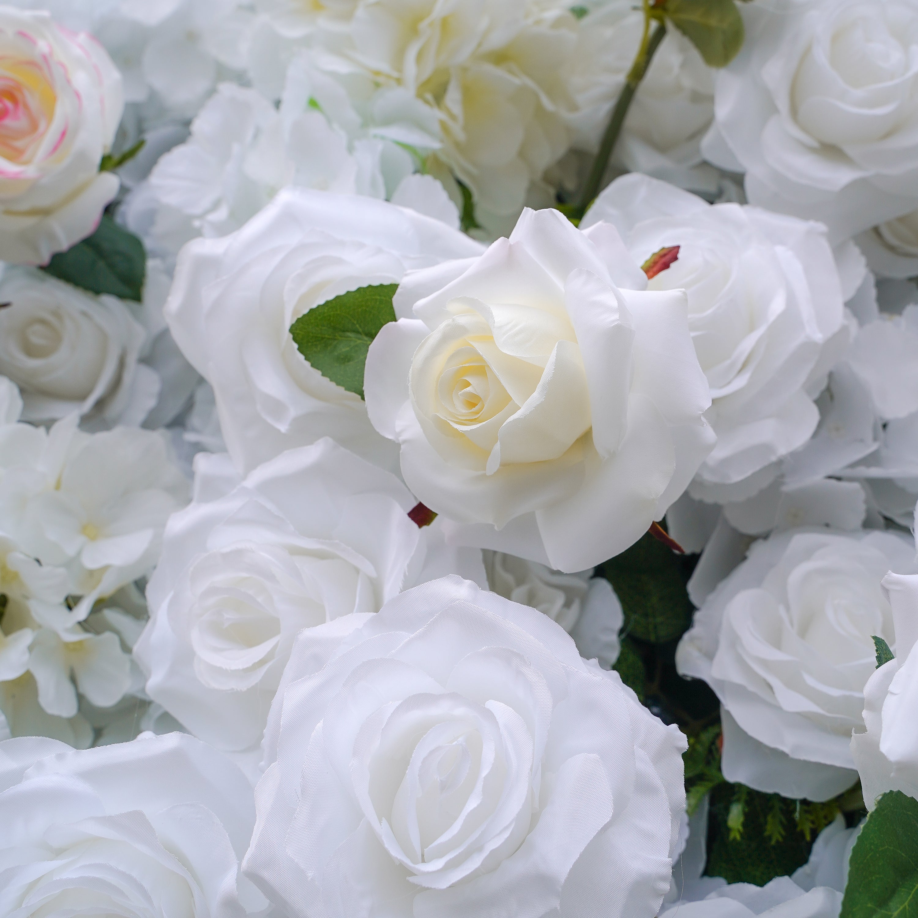 Majo：5D Fabric Artificial rolling up curtain flower wall Rose Morning