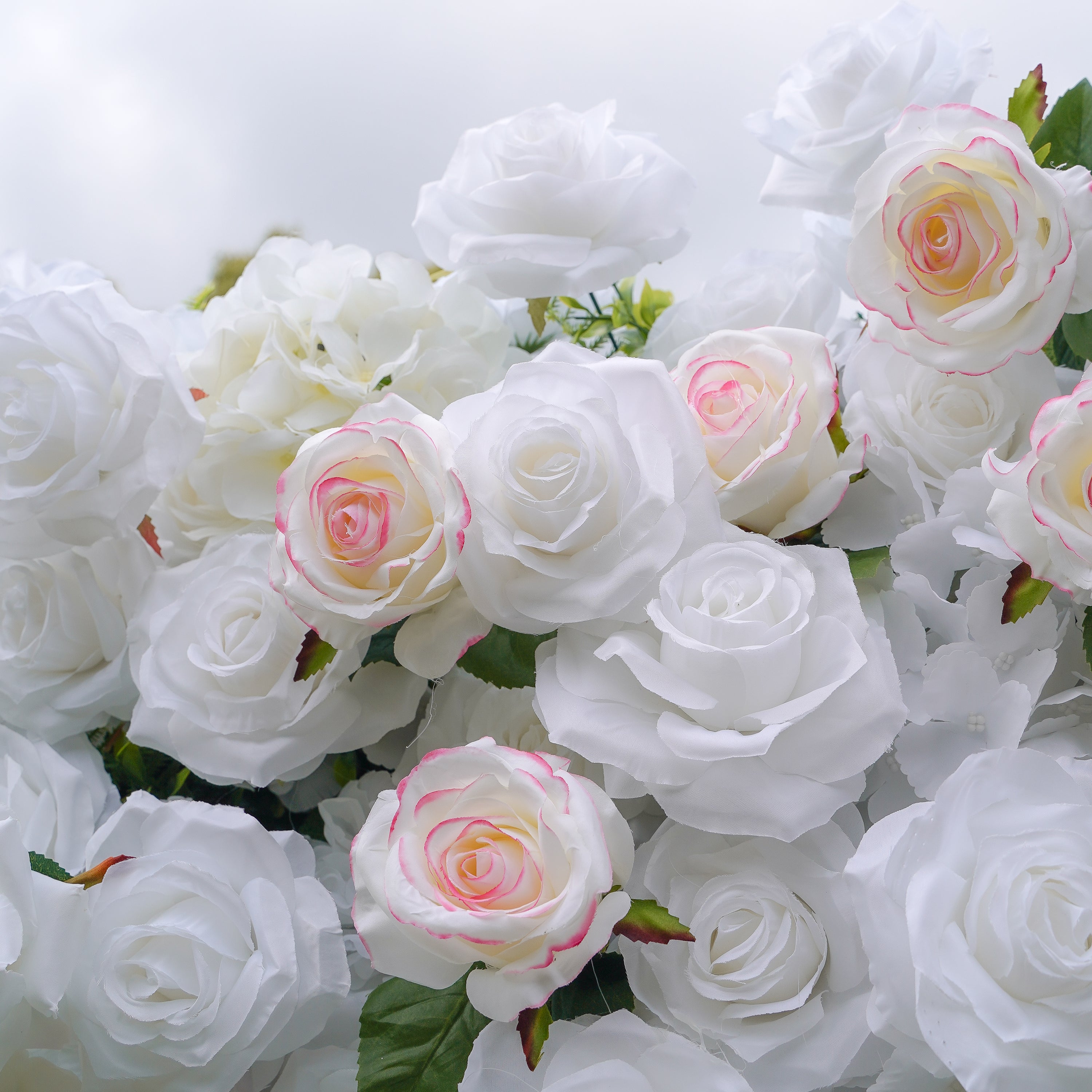 Majo：5D Fabric Artificial rolling up curtain flower wall Rose Morning