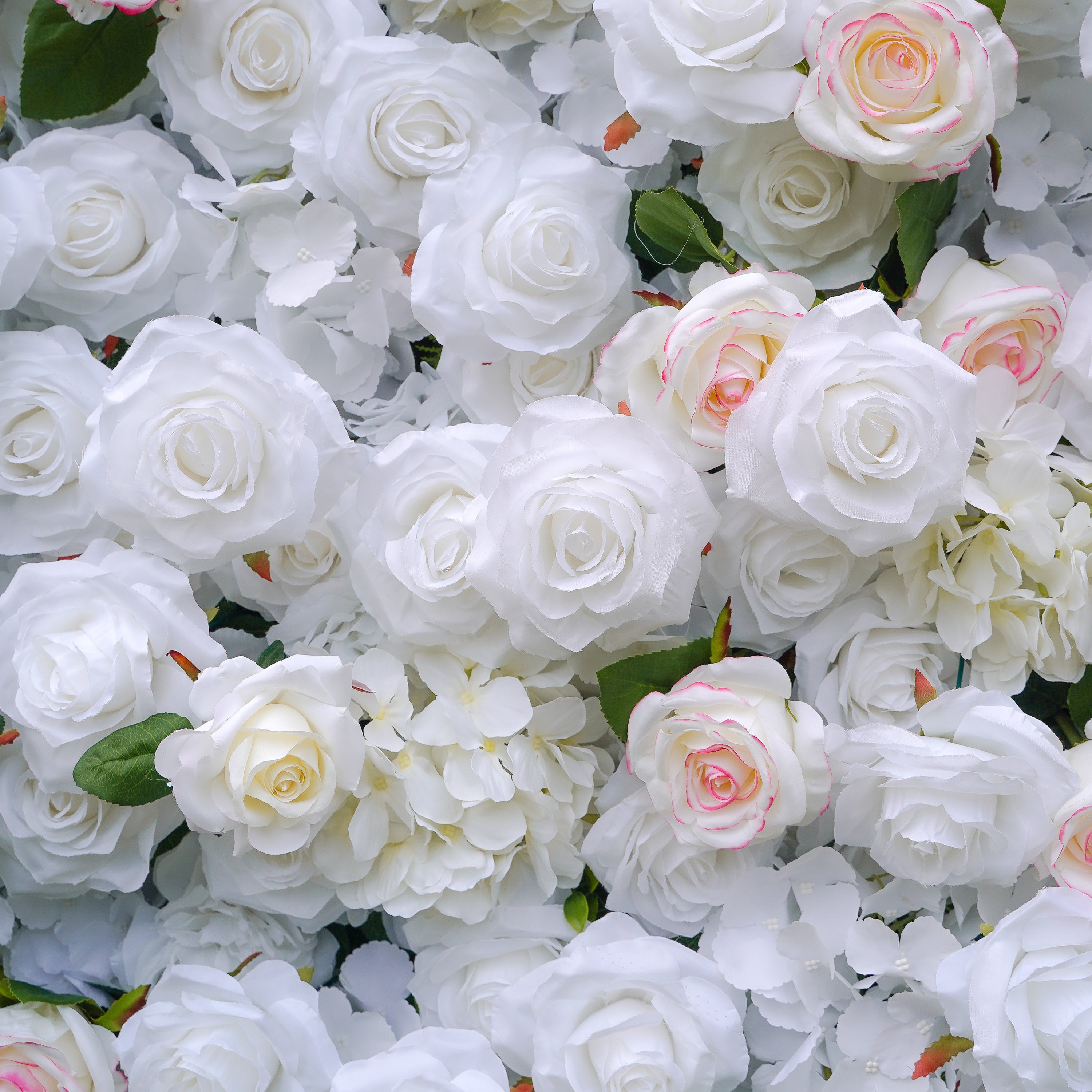 Majo：5D Fabric Artificial rolling up curtain flower wall Rose Morning