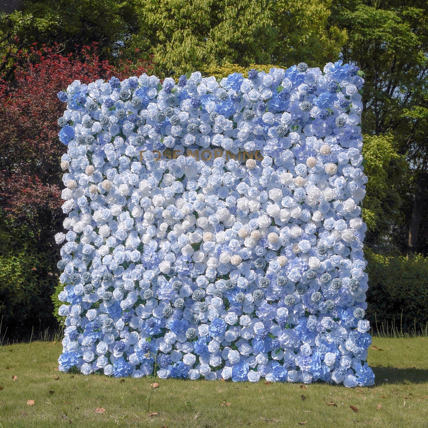 Manci：5D Fabric Artificial rolling up curtain flower wall Rose Morning