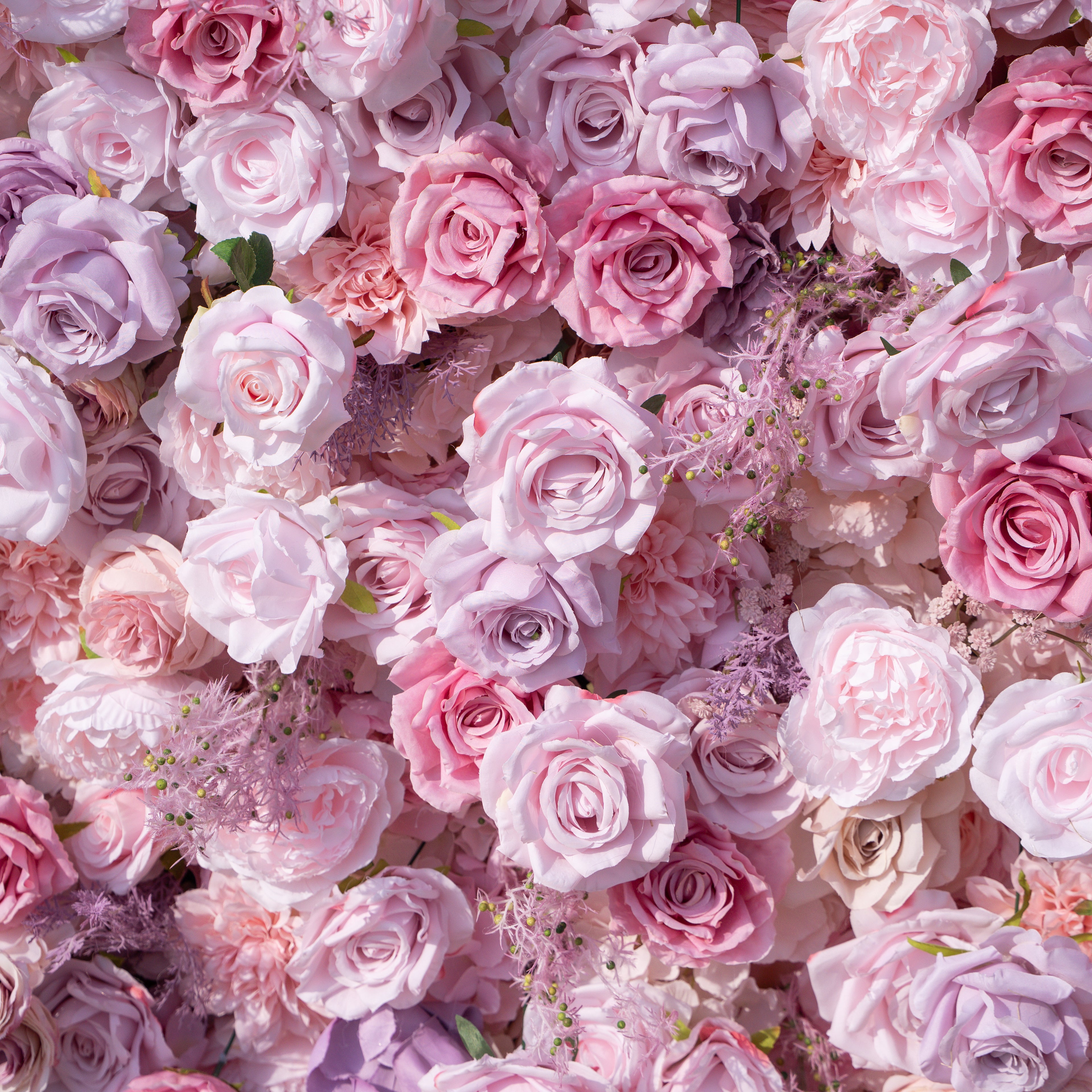 Matteo: 5D Lavender &amp; Blush Pink Silk Rose Flower Wall Roll-Up Fabric Backdrop for Elegant Weddings &amp; Events