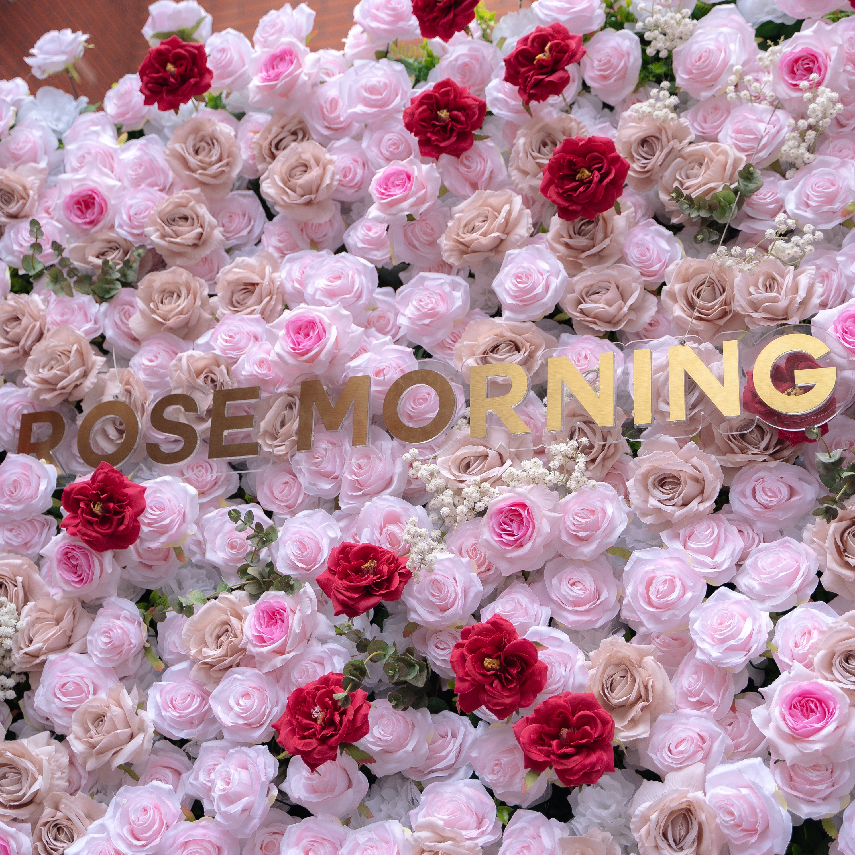 Maylee：5D Fabric Artificial rolling up curtain flower wall (Ready to ship) Rose Morning