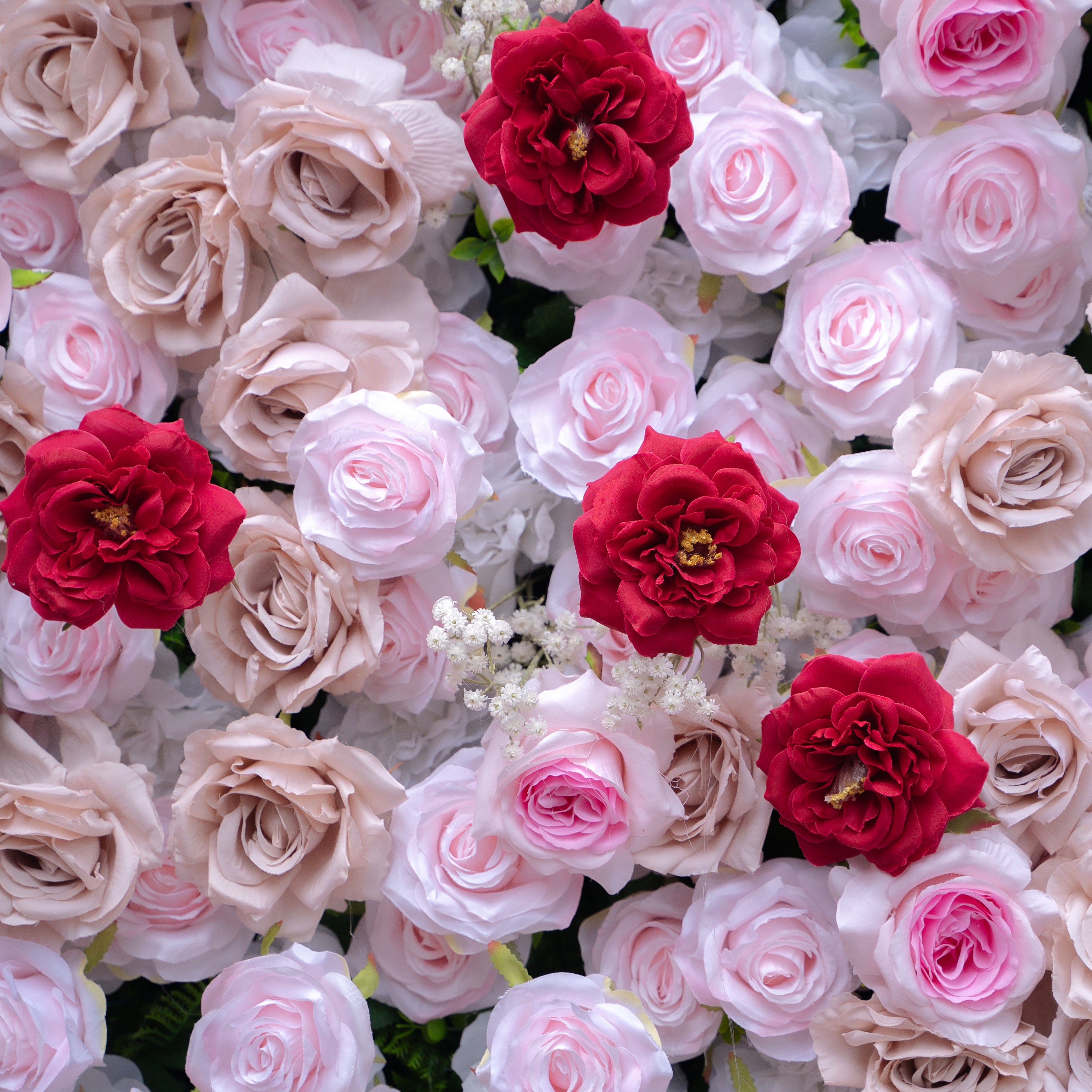 Maylee：5D Fabric Artificial rolling up curtain flower wall (Ready to ship) Rose Morning