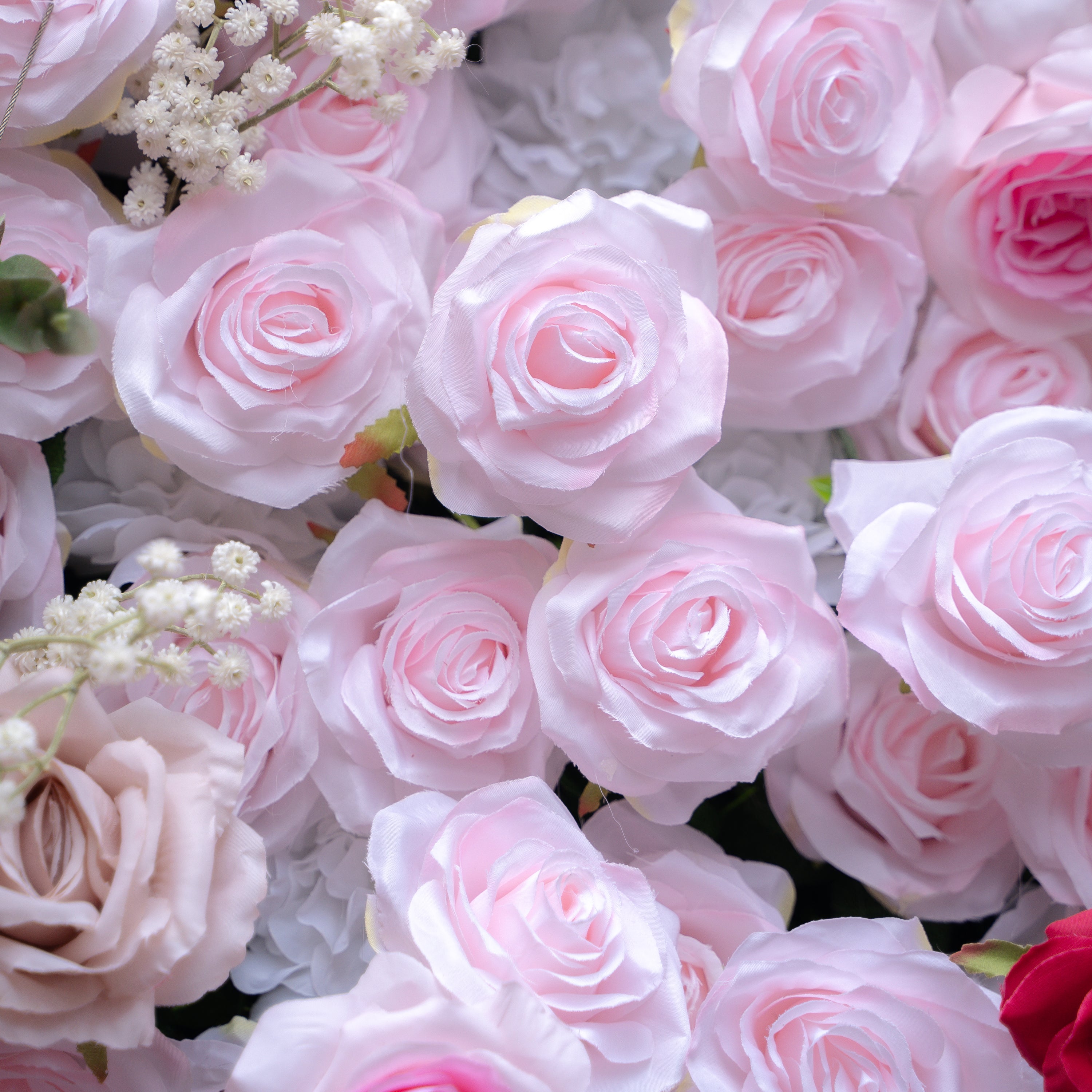 Maylee：5D Fabric Artificial rolling up curtain flower wall (Ready to ship) Rose Morning