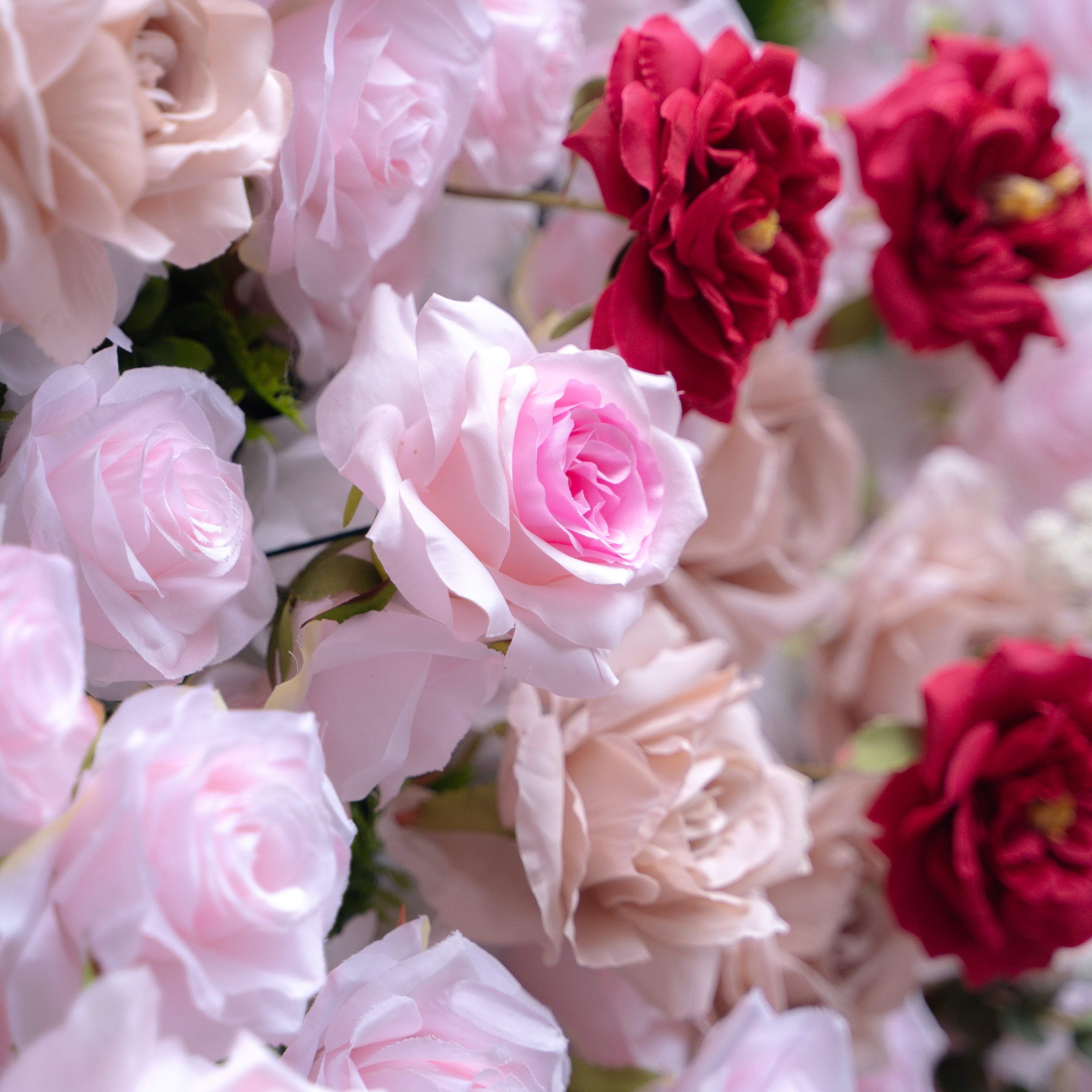 Maylee：5D Fabric Artificial rolling up curtain flower wall (Ready to ship) Rose Morning