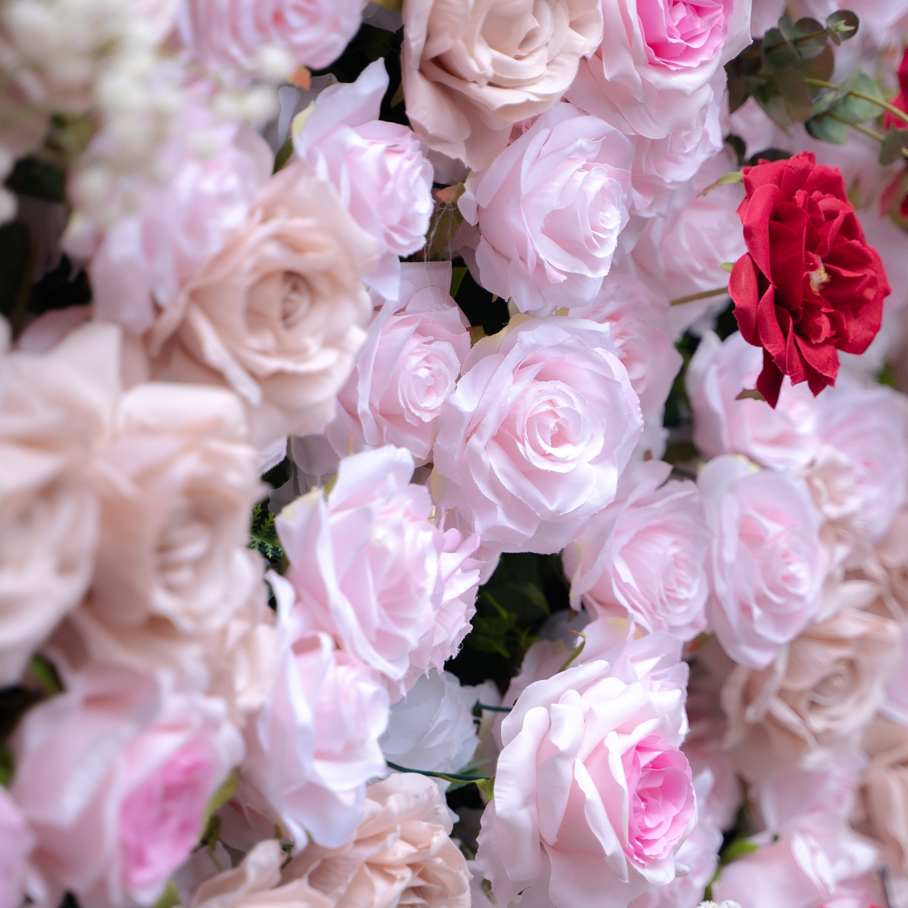 Maylee：5D Fabric Artificial rolling up curtain flower wall (Ready to ship) Rose Morning