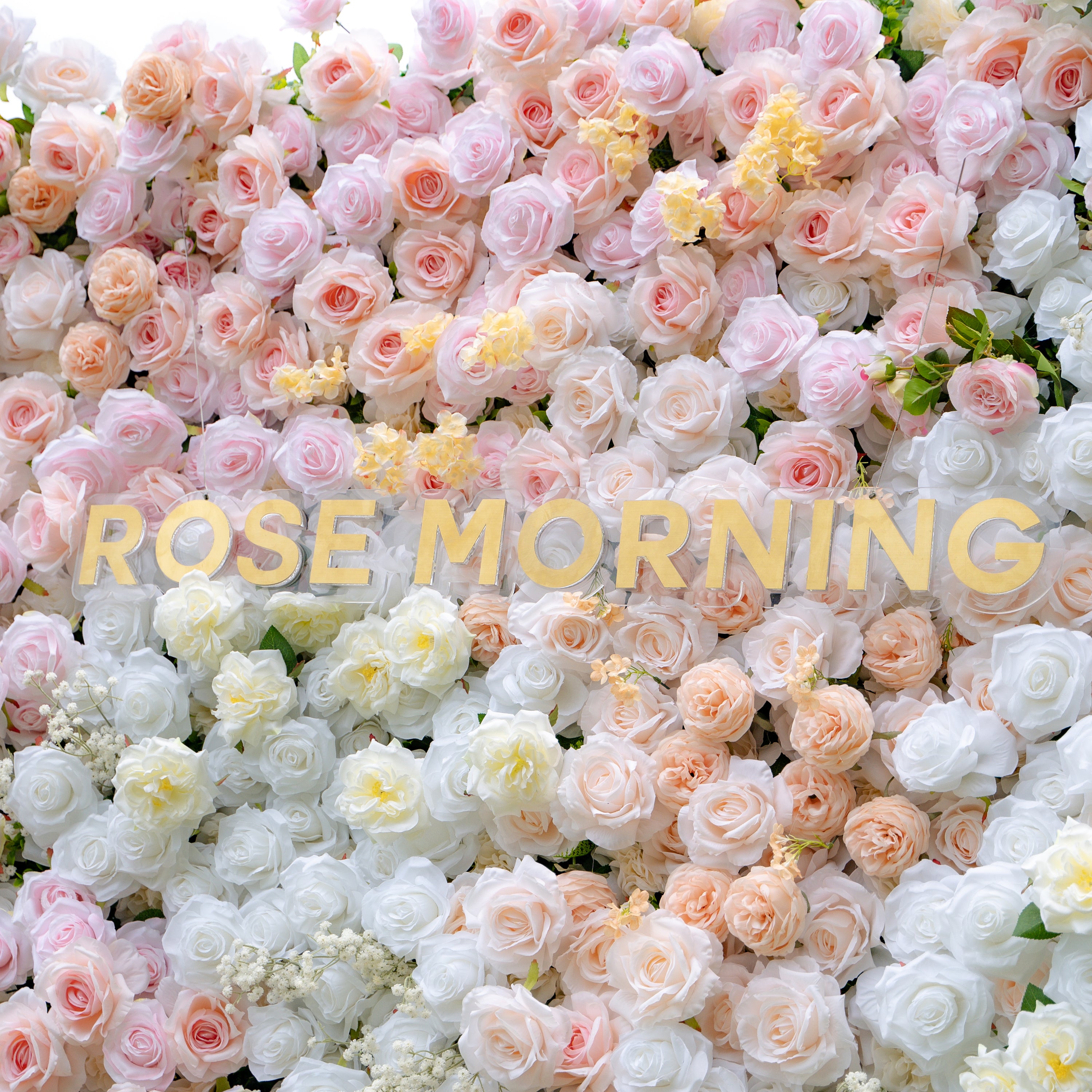 Melina：5D Fabric Artificial rolling up curtain flower wall (Ready to ship) Rose Morning