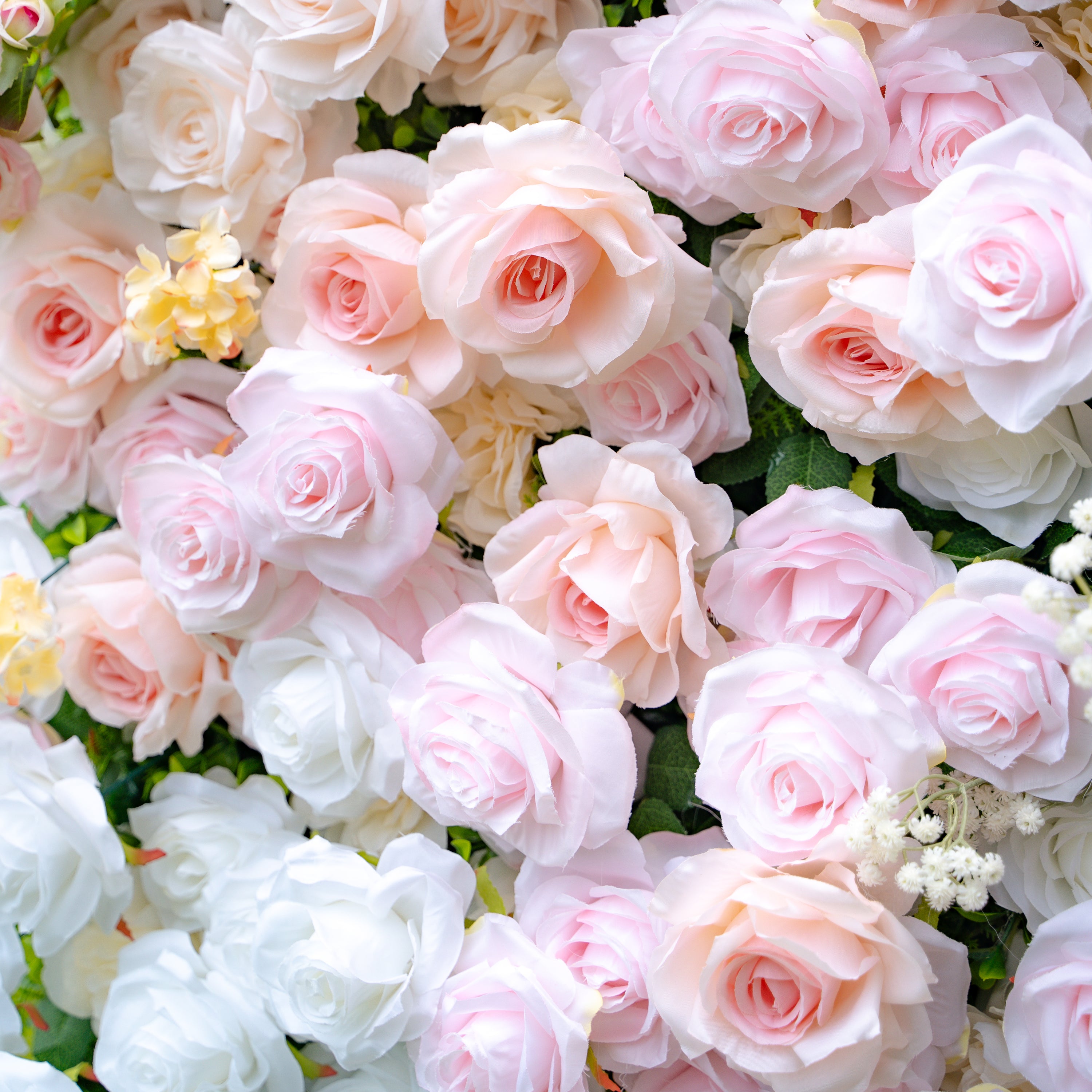 Melina：5D Fabric Artificial rolling up curtain flower wall (Ready to ship) Rose Morning