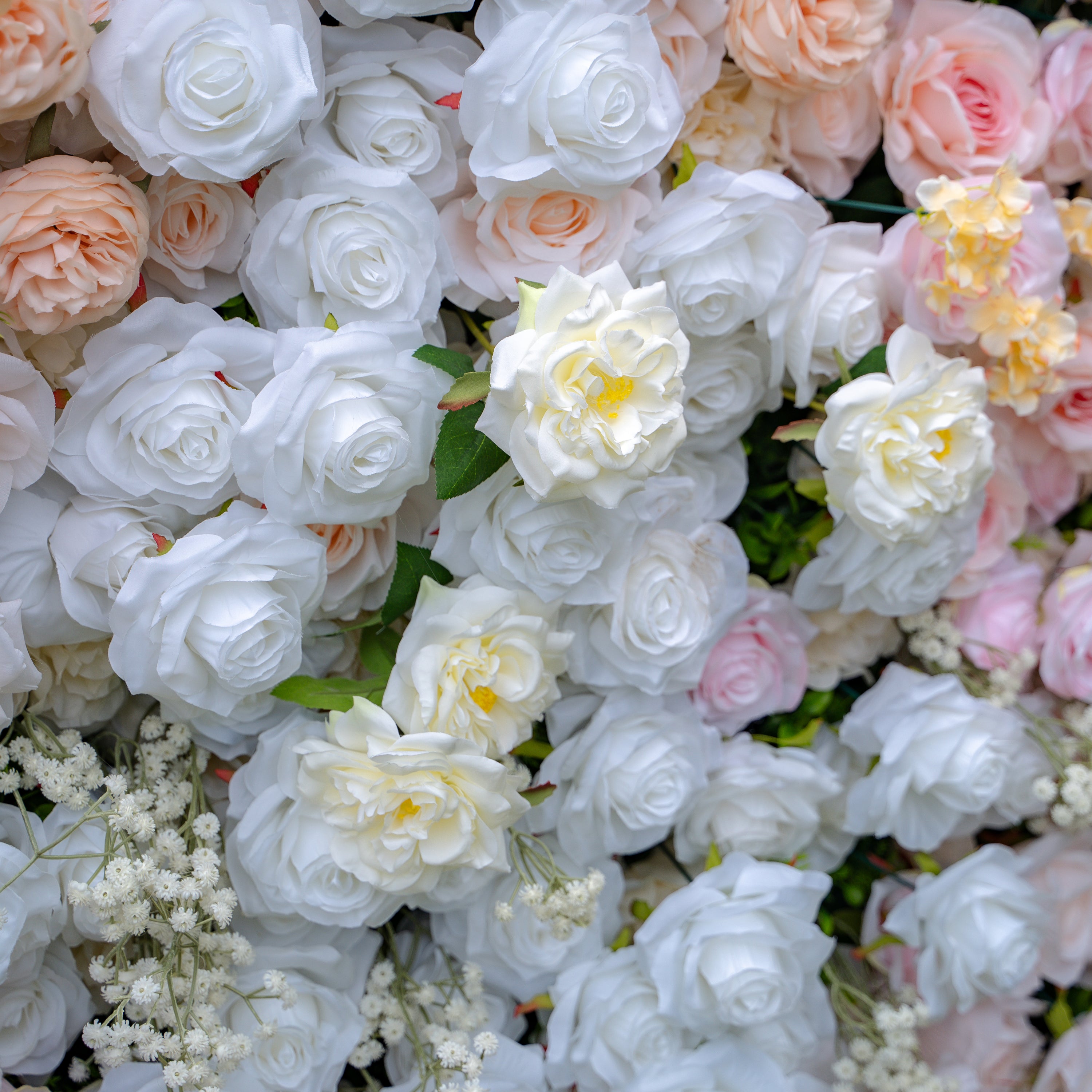 Melina：5D Fabric Artificial rolling up curtain flower wall (Ready to ship) Rose Morning