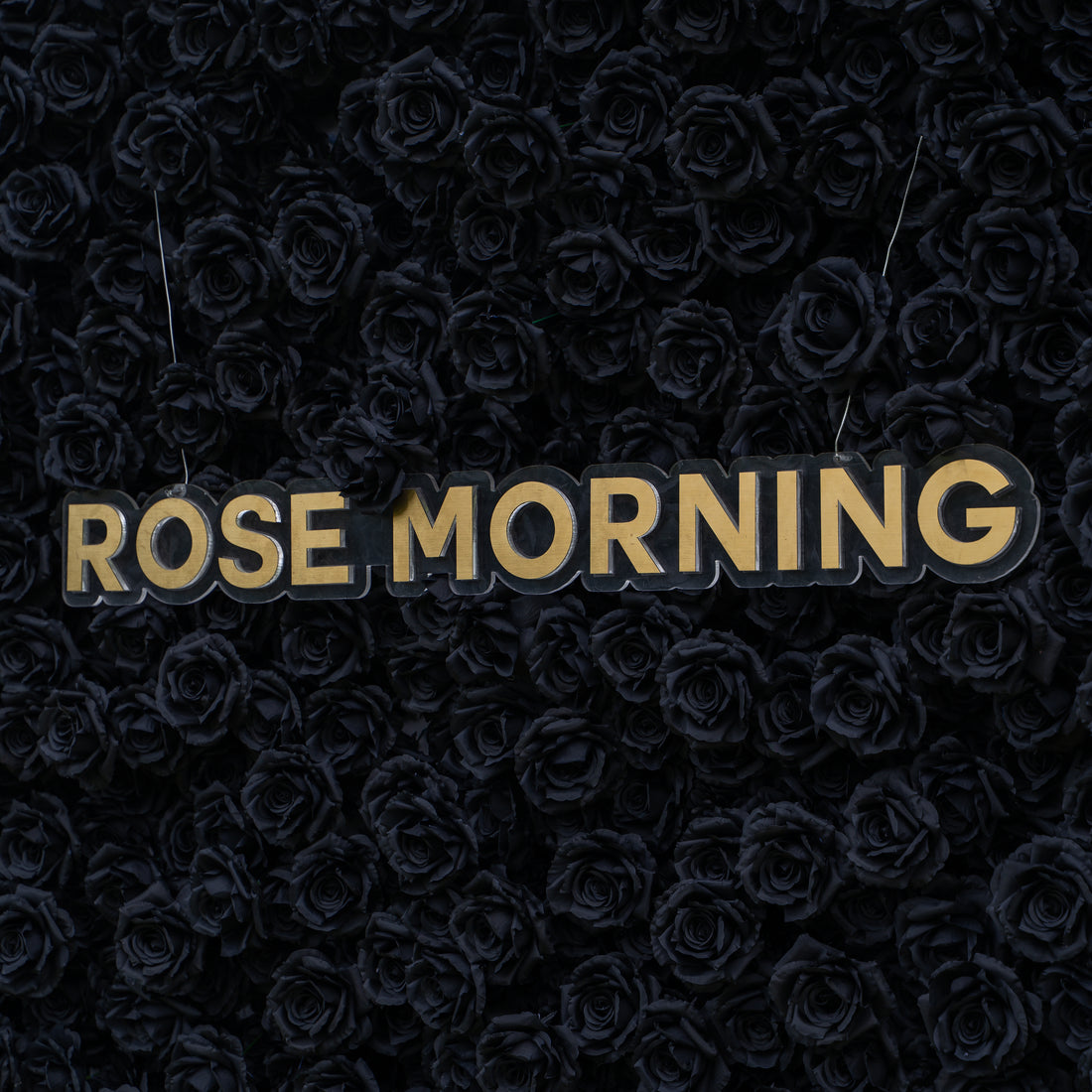 Midnight：3D Fabric Artificial rolling up curtain Black Rose Flower Wall