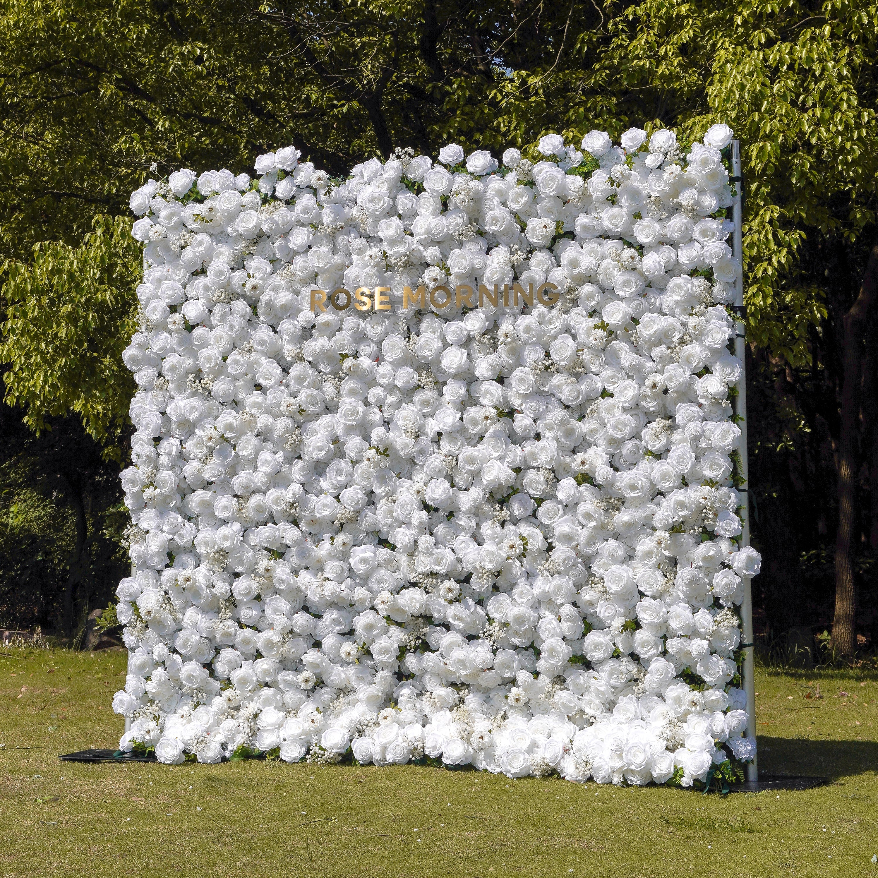 Miya：5D Fabric Artificial rolling up curtain flower wall Rose Morning