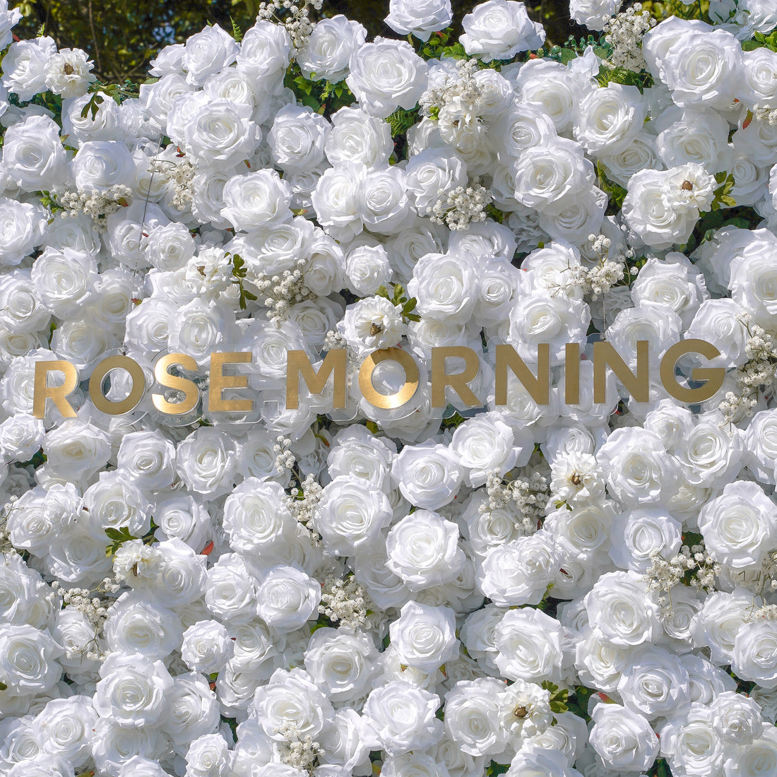 Miya:5D Fabric Artificial rolling up curtain flower wall Rose Morning