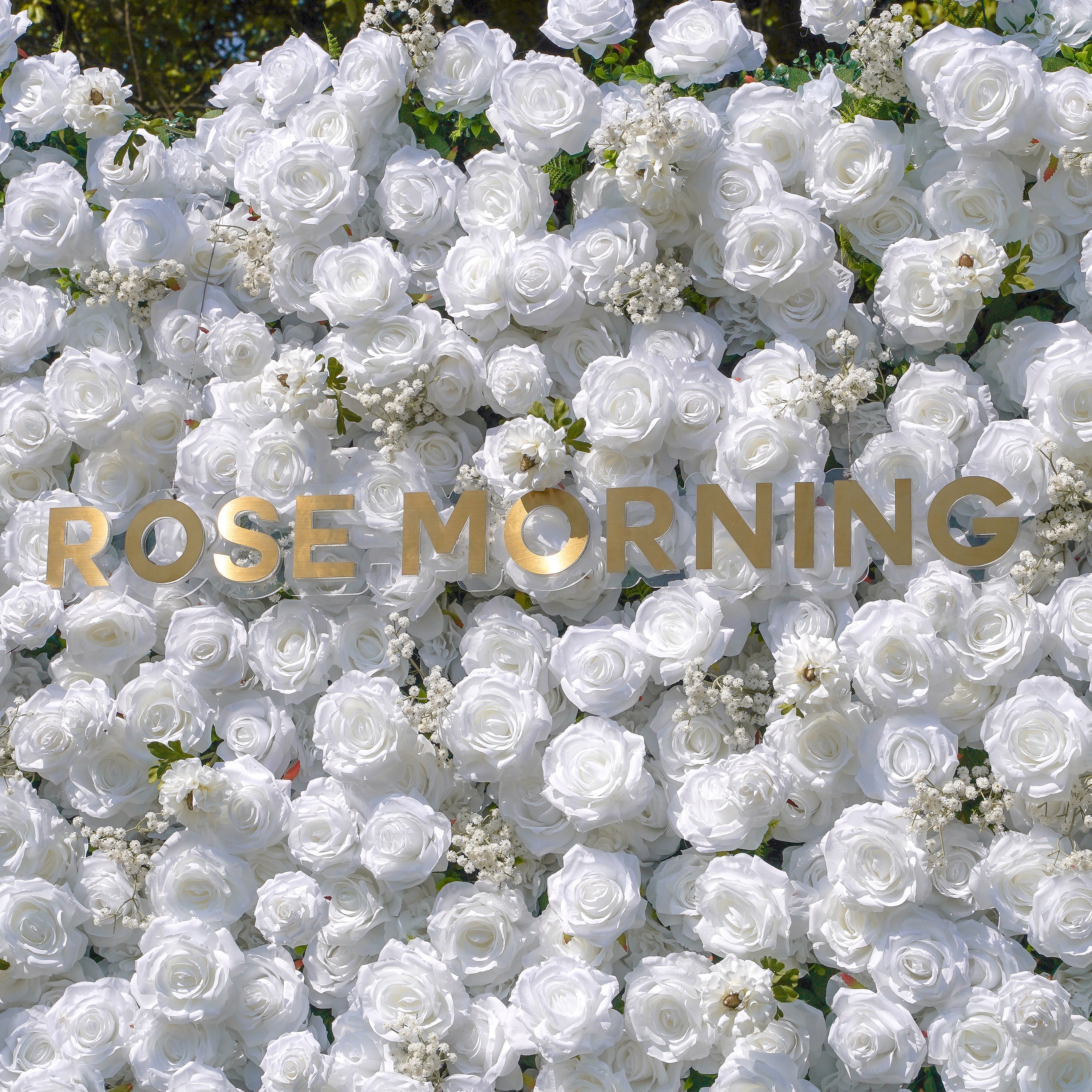 Miya：5D Fabric Artificial rolling up curtain flower wall Rose Morning
