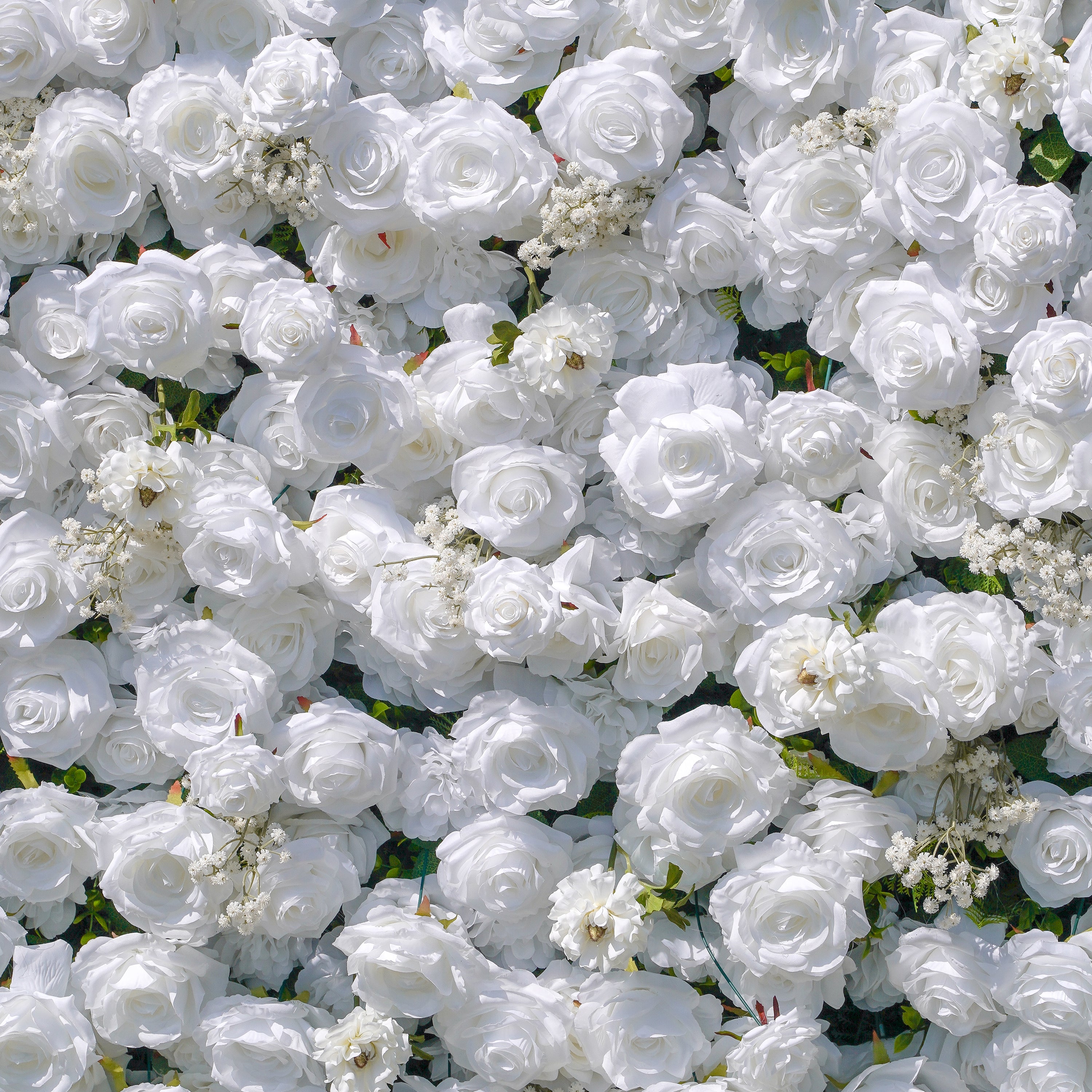 Miya：5D Fabric Artificial rolling up curtain flower wall Rose Morning