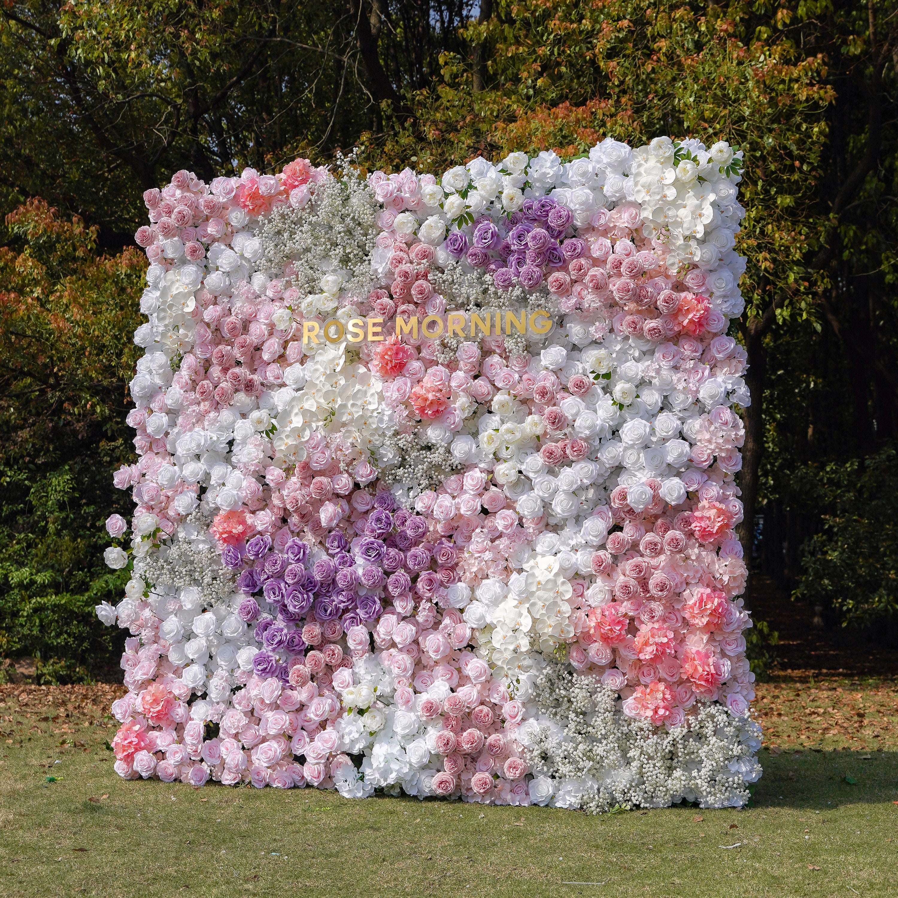 Nari：5D Fabric Artificial rolling up curtain flower wall Rose Morning