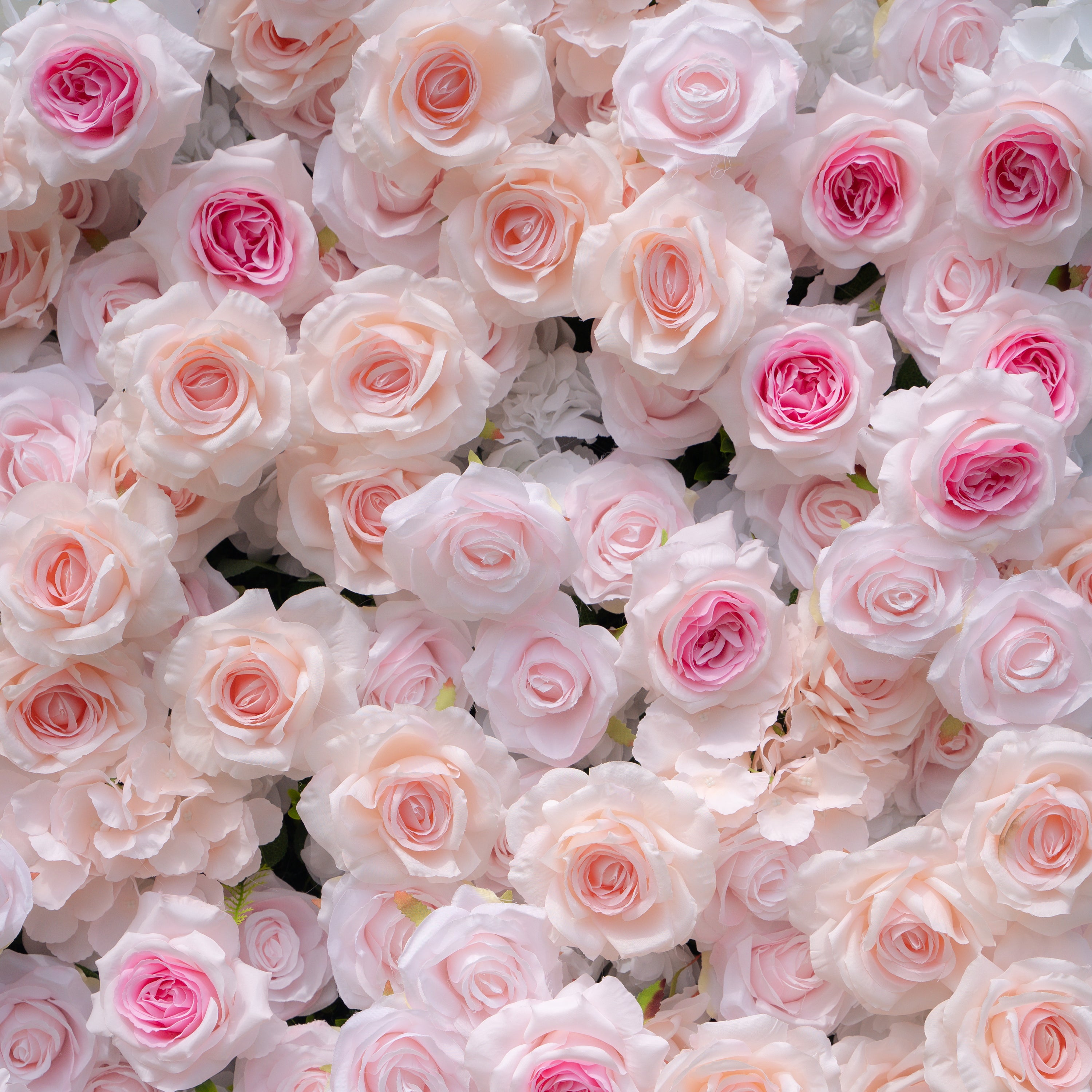 Natalia：5D Fabric Artificial rolling up curtain flower wall（复制） Rose Morning