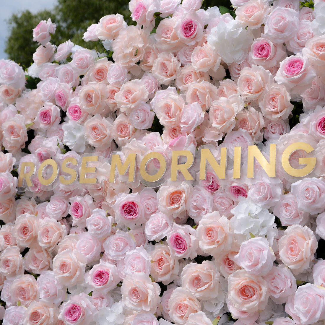 Natalia:5D Fabric Artificial rolling up curtain flower wall(复制) Rose Morning