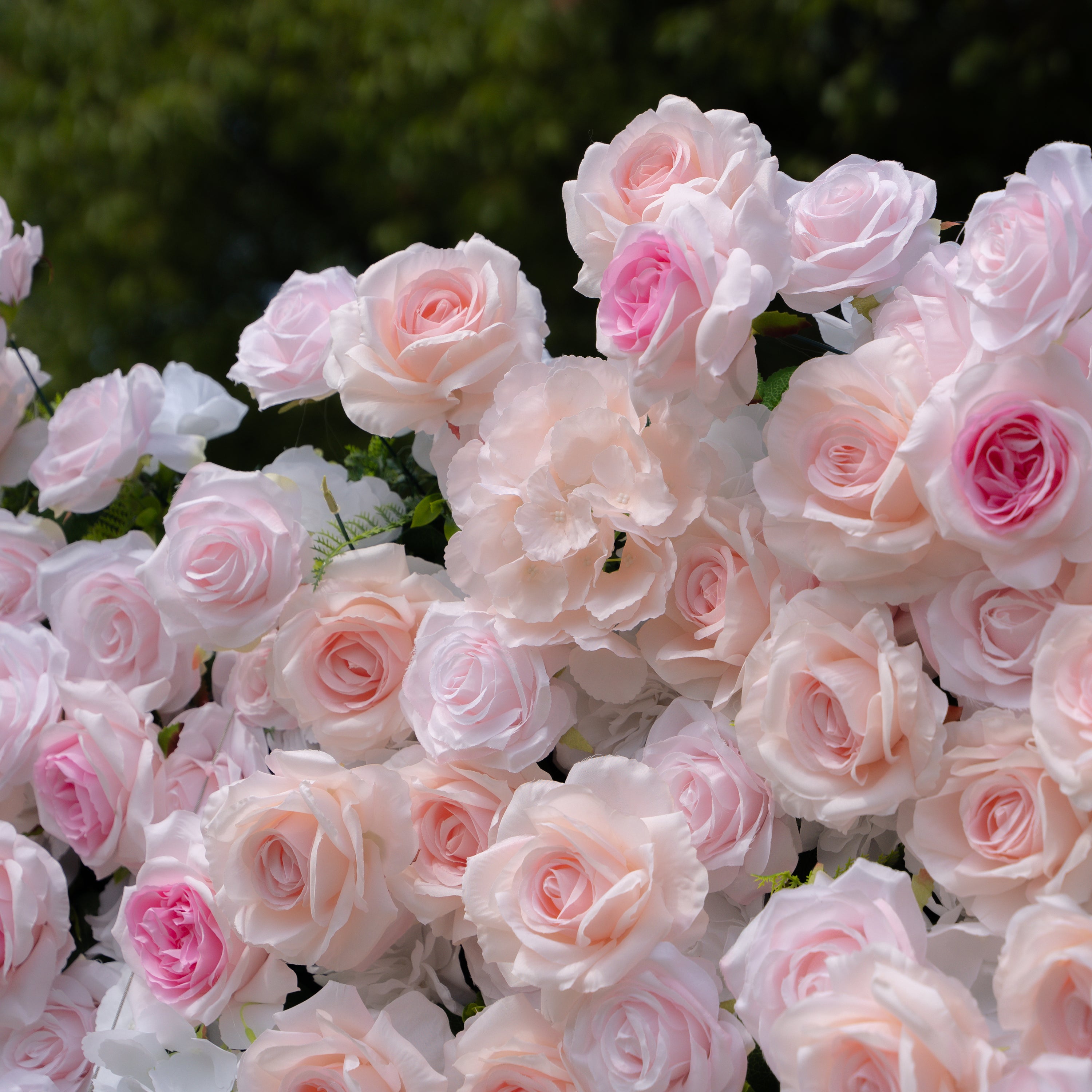 Natalia：5D Fabric Artificial rolling up curtain flower wall（复制） Rose Morning