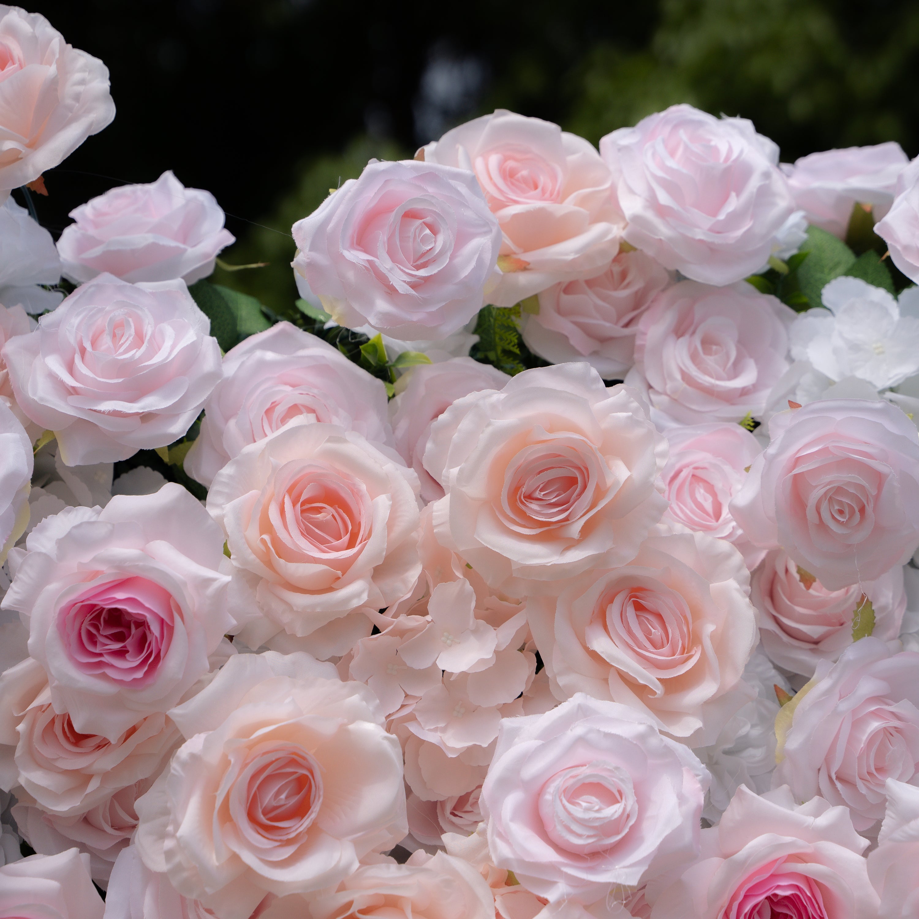 Natalia：5D Fabric Artificial rolling up curtain flower wall（复制） Rose Morning