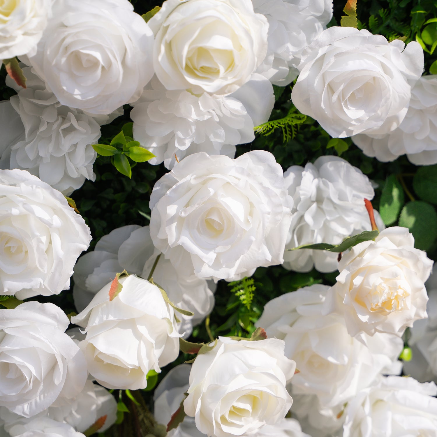 Oriana: 3D White Rose Flower Wall Backdrop Roll Up Fabric Curtain for Wedding Decor