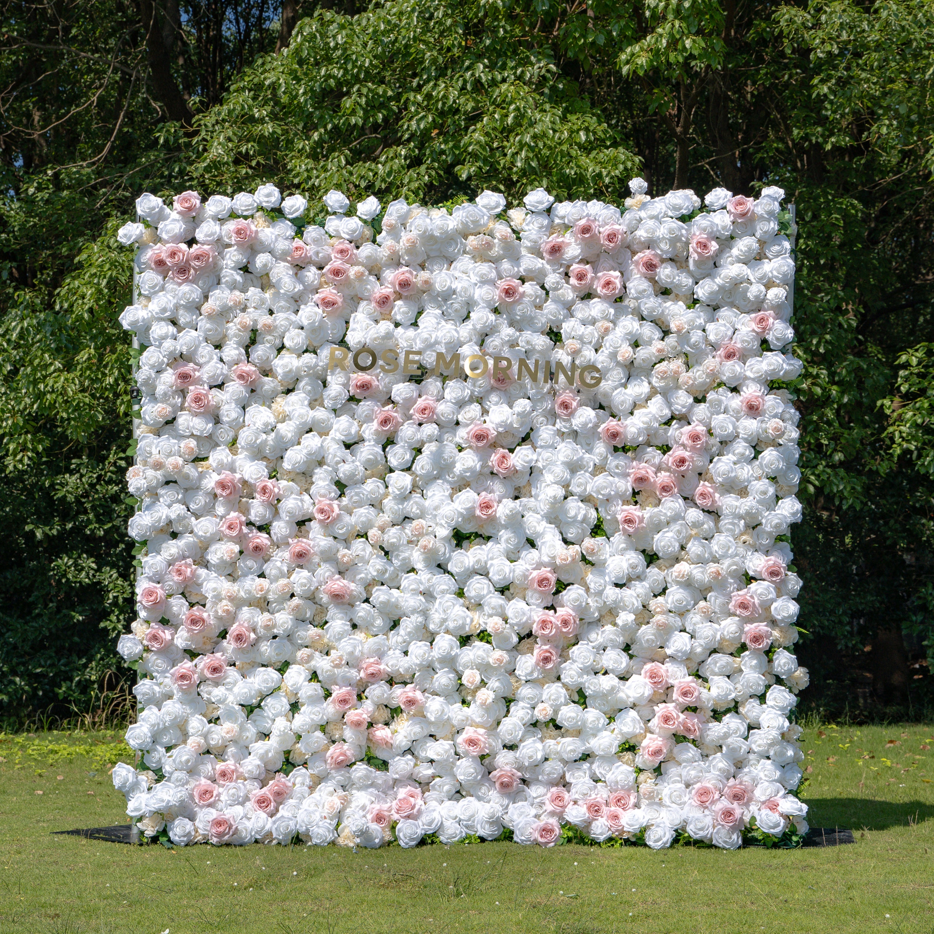 Paisley：5D Fabric Artificial rolling up curtain flower wall (Ready to ship) Rose Morning