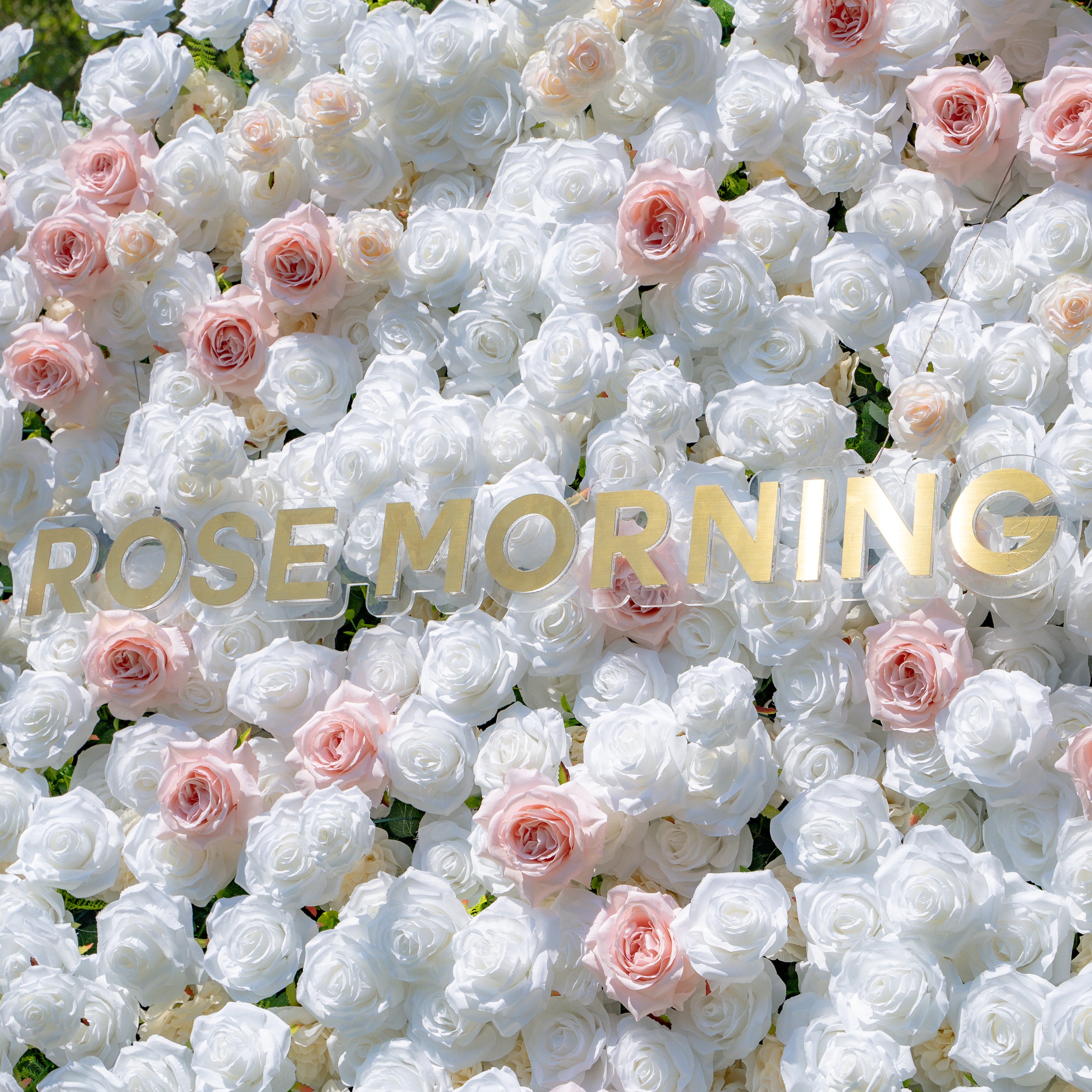 Paisley：5D Fabric Artificial rolling up curtain flower wall (Ready to ship) Rose Morning