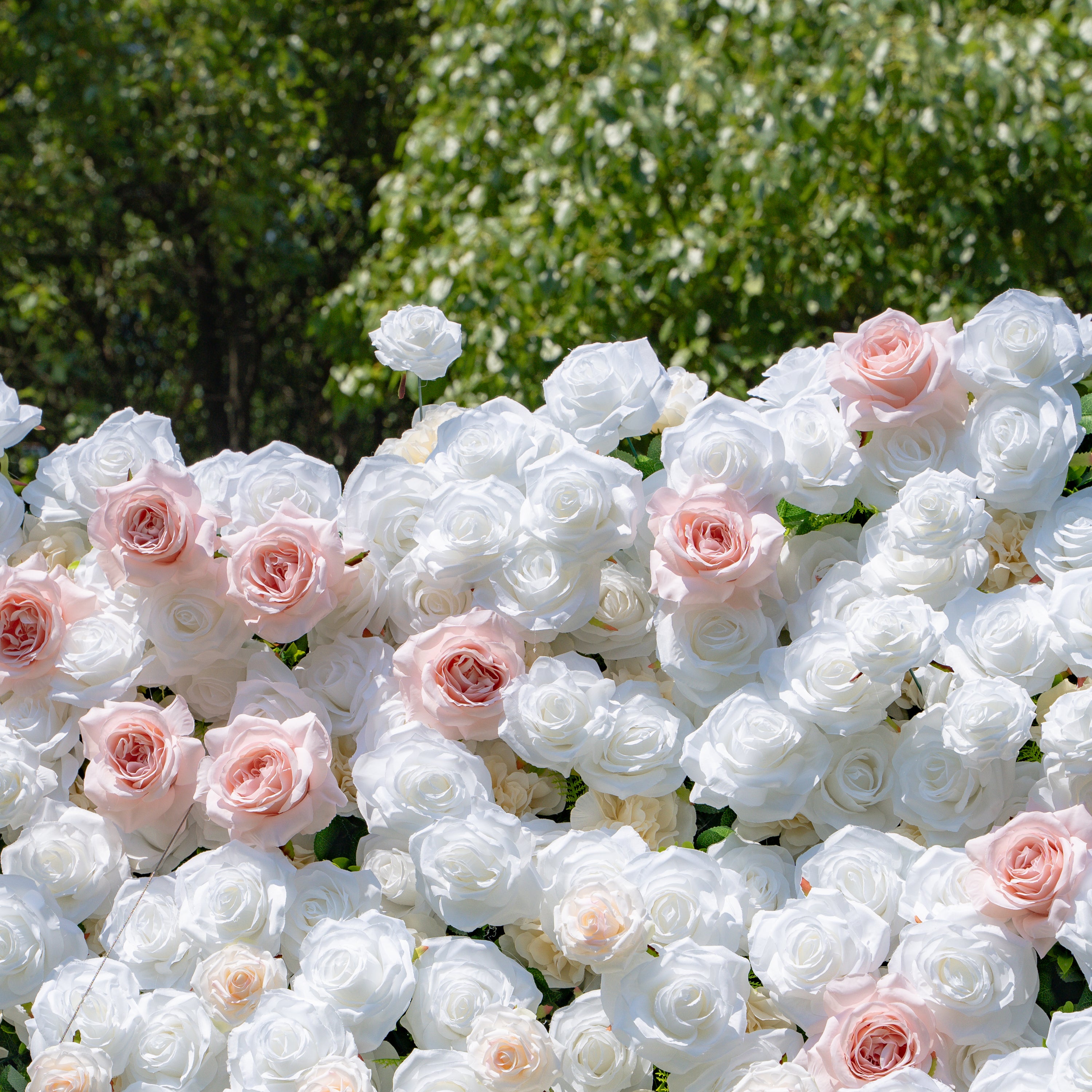 Paisley：5D Fabric Artificial rolling up curtain flower wall (Ready to ship) Rose Morning