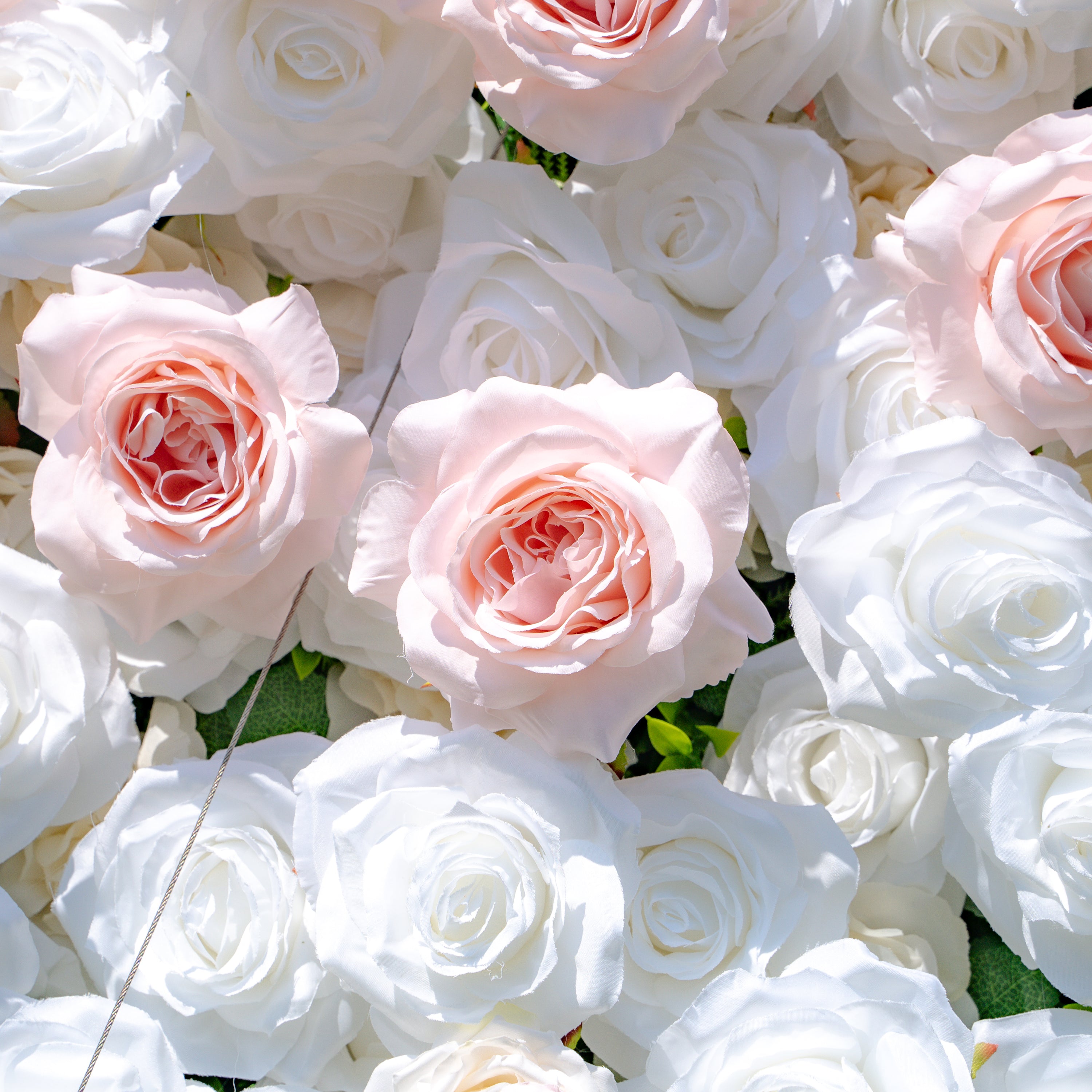 Paisley：5D Fabric Artificial rolling up curtain flower wall (Ready to ship) Rose Morning