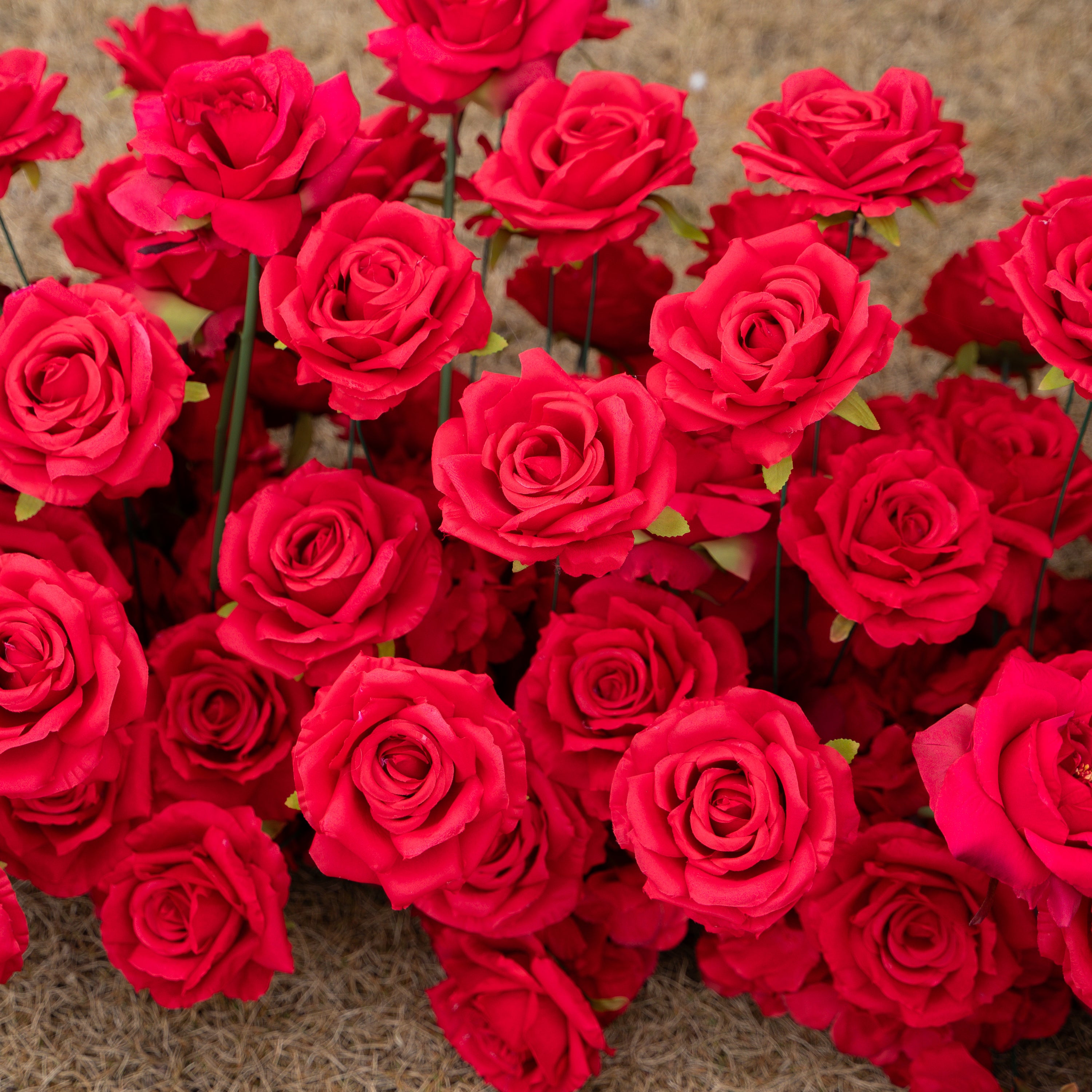 The Perfect Valentine’s Surprise: Luxury 3D Red Rose Passion Heart Wall(6.2ft*6.9ft)