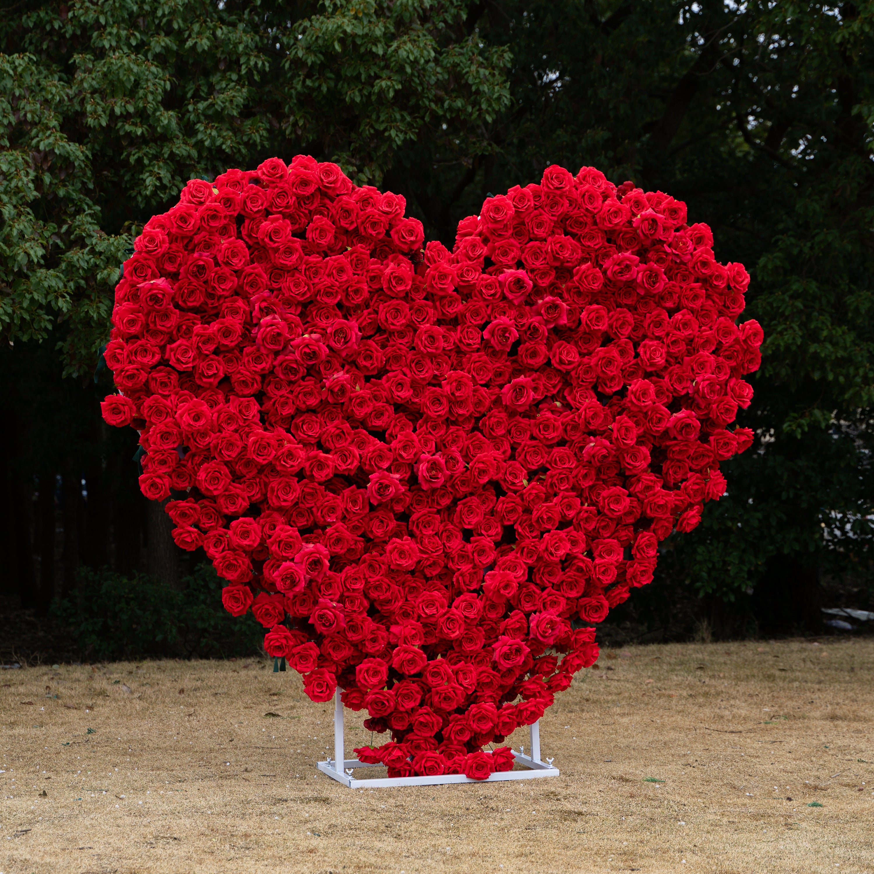 The Perfect Valentine’s Surprise: Luxury 3D Red Rose Passion Heart Wall(6.2ft*6.9ft)