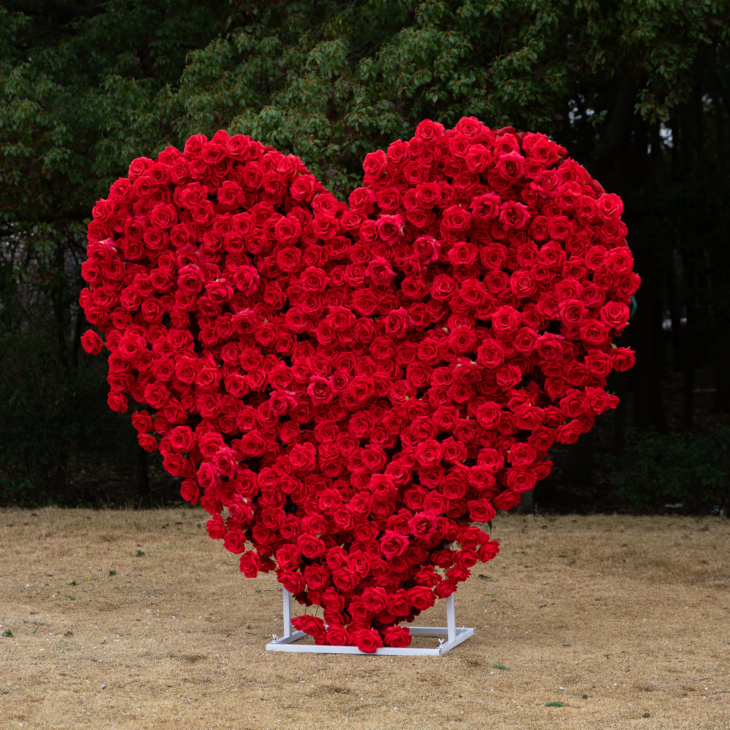The Perfect Valentine’s Surprise: Luxury 3D Red Rose Passion Heart Wall(6.2ft*6.9ft)