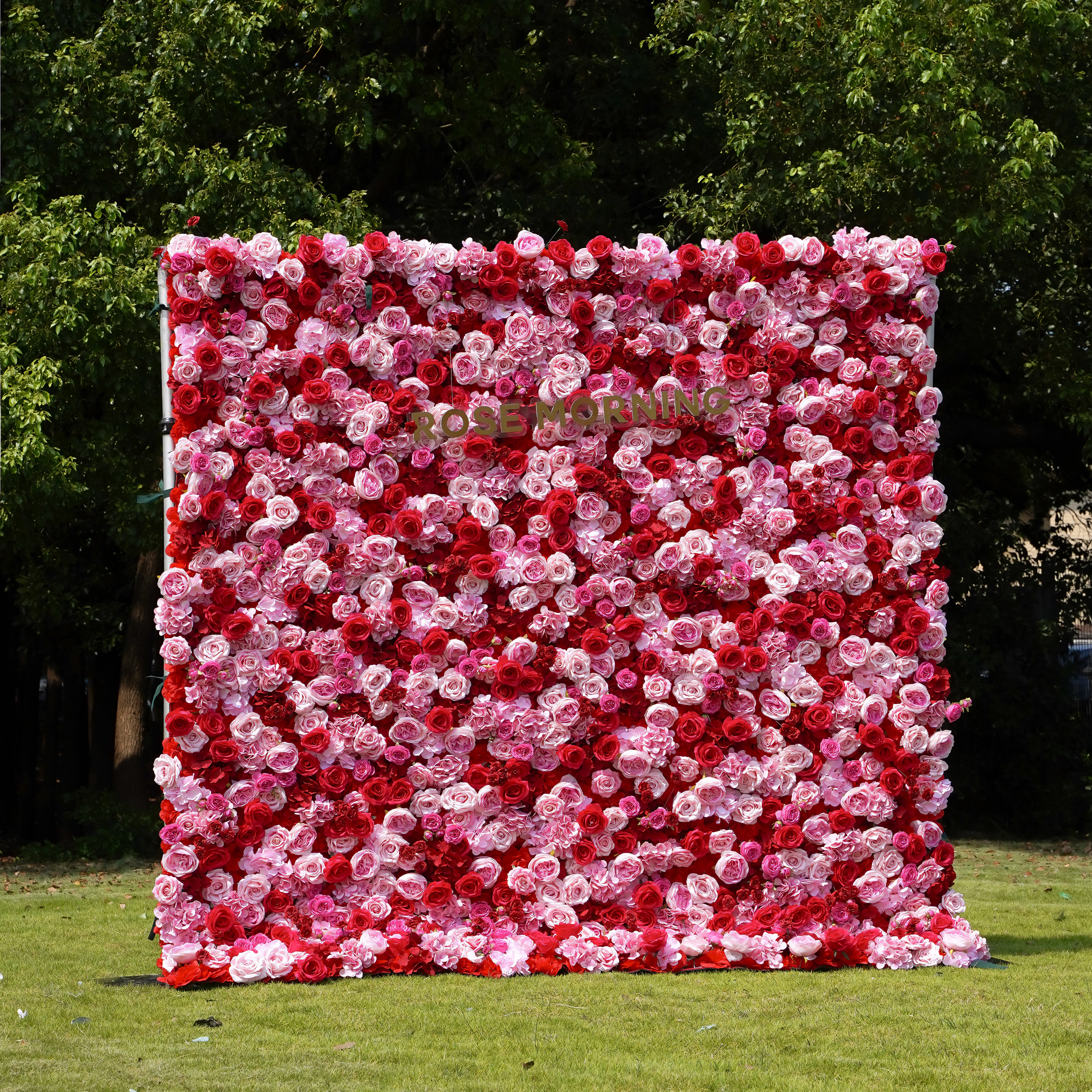 Peyton:  3D Fabric Artificial Flower Wall Rolling Up Curtain Flower Wall 8ft*8ft -R038 Rose Morning