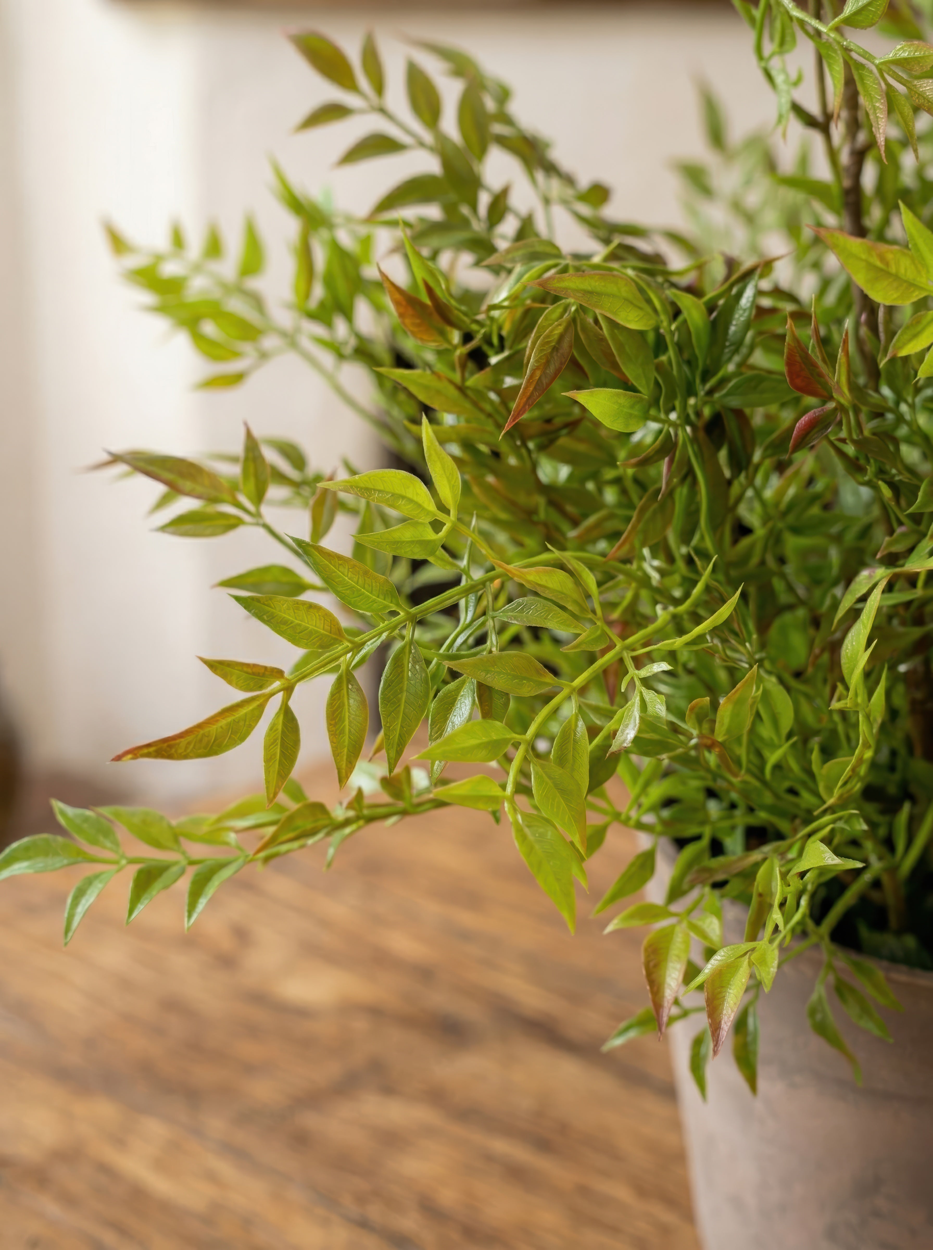 21.6" Artificial Red-Tipped Nandina - Potted Greenery for Rustic Home Decor