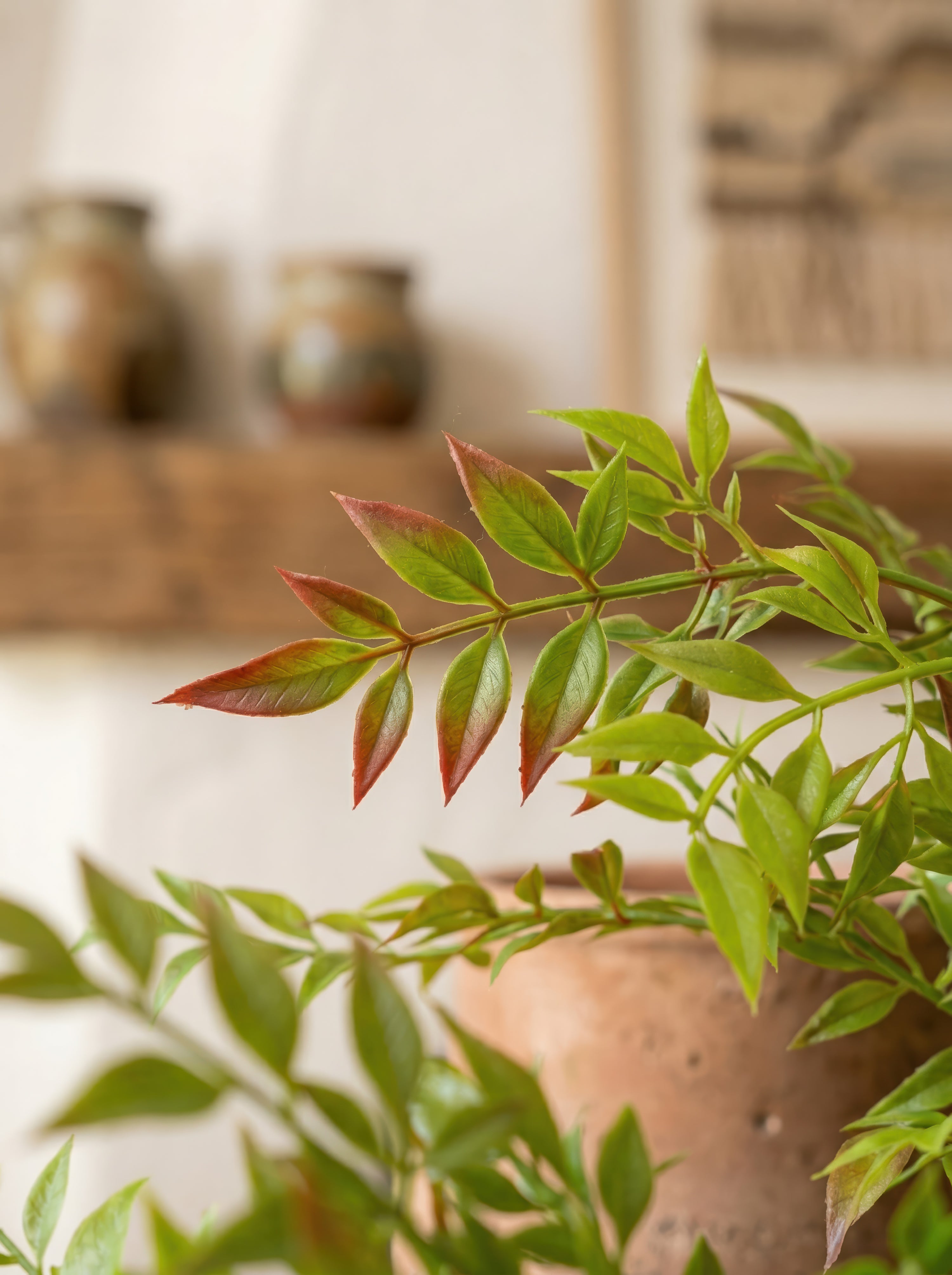 21.6" Artificial Red-Tipped Nandina - Potted Greenery for Rustic Home Decor