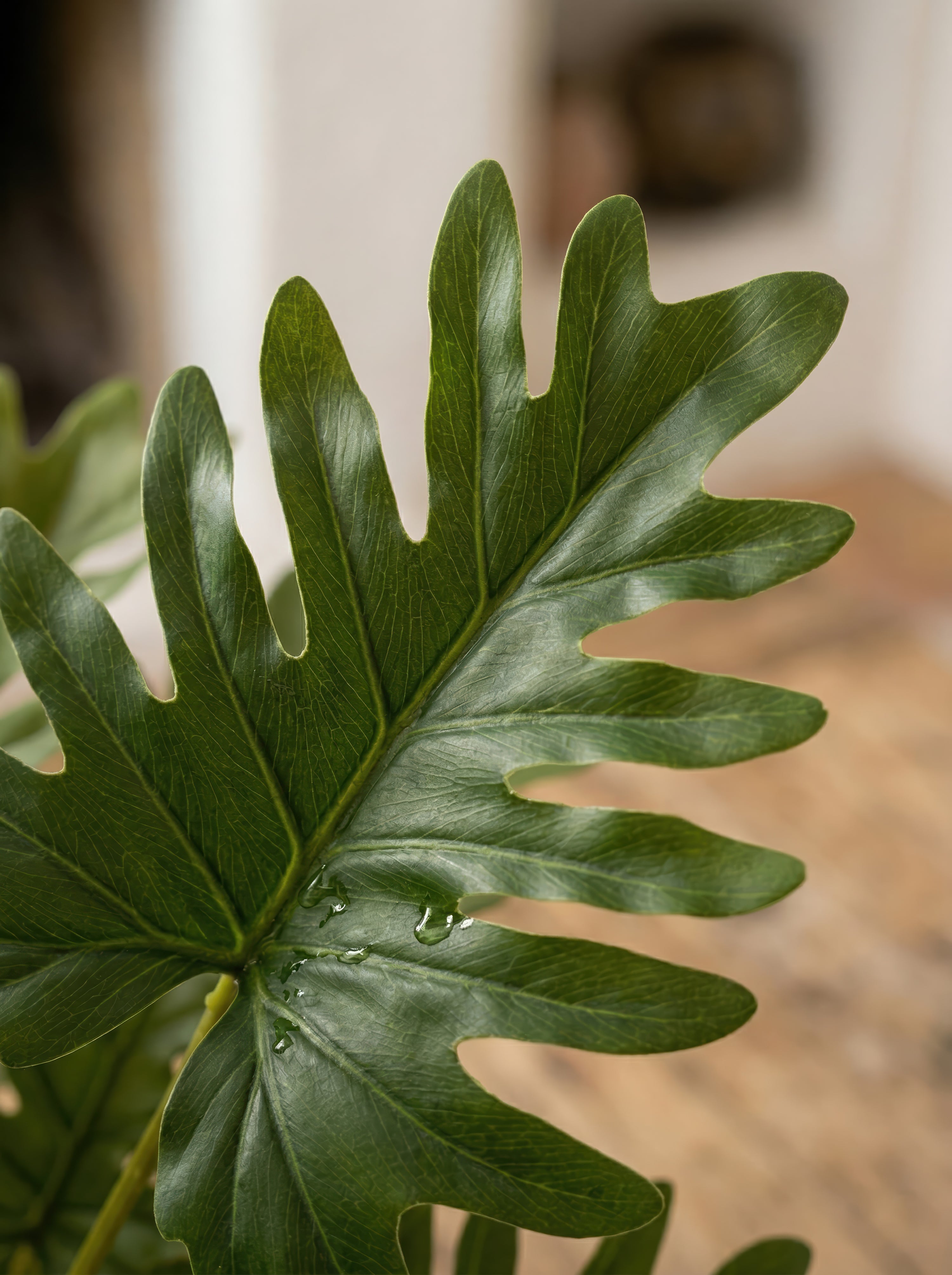 Highly Realistic 21.6" Faux Plant in Pot - Large Artificial Tropical Split Leaf Potted Plant for Home &amp; Office Decor