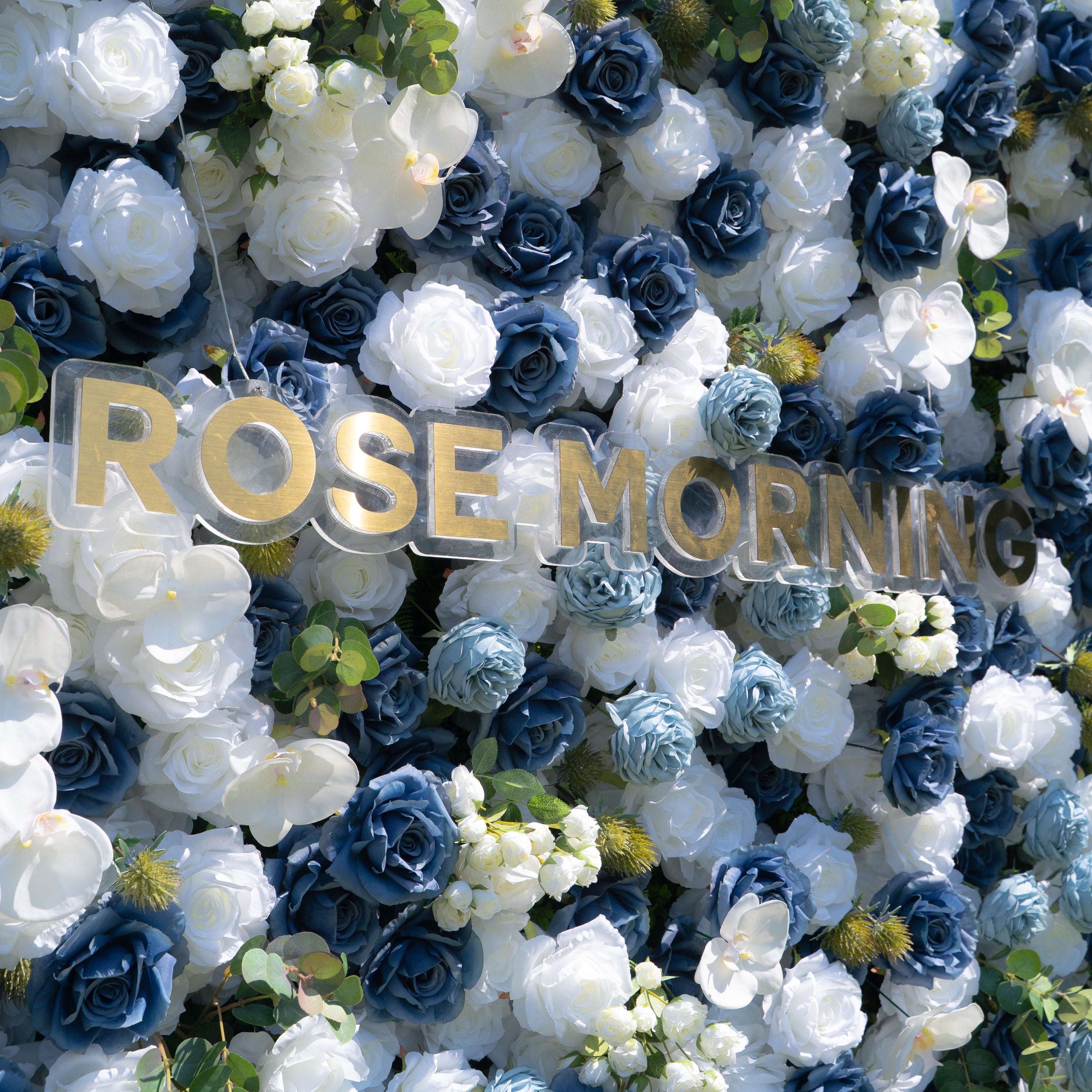 Precious：5D Fabric Artificial rolling up curtain flower wall