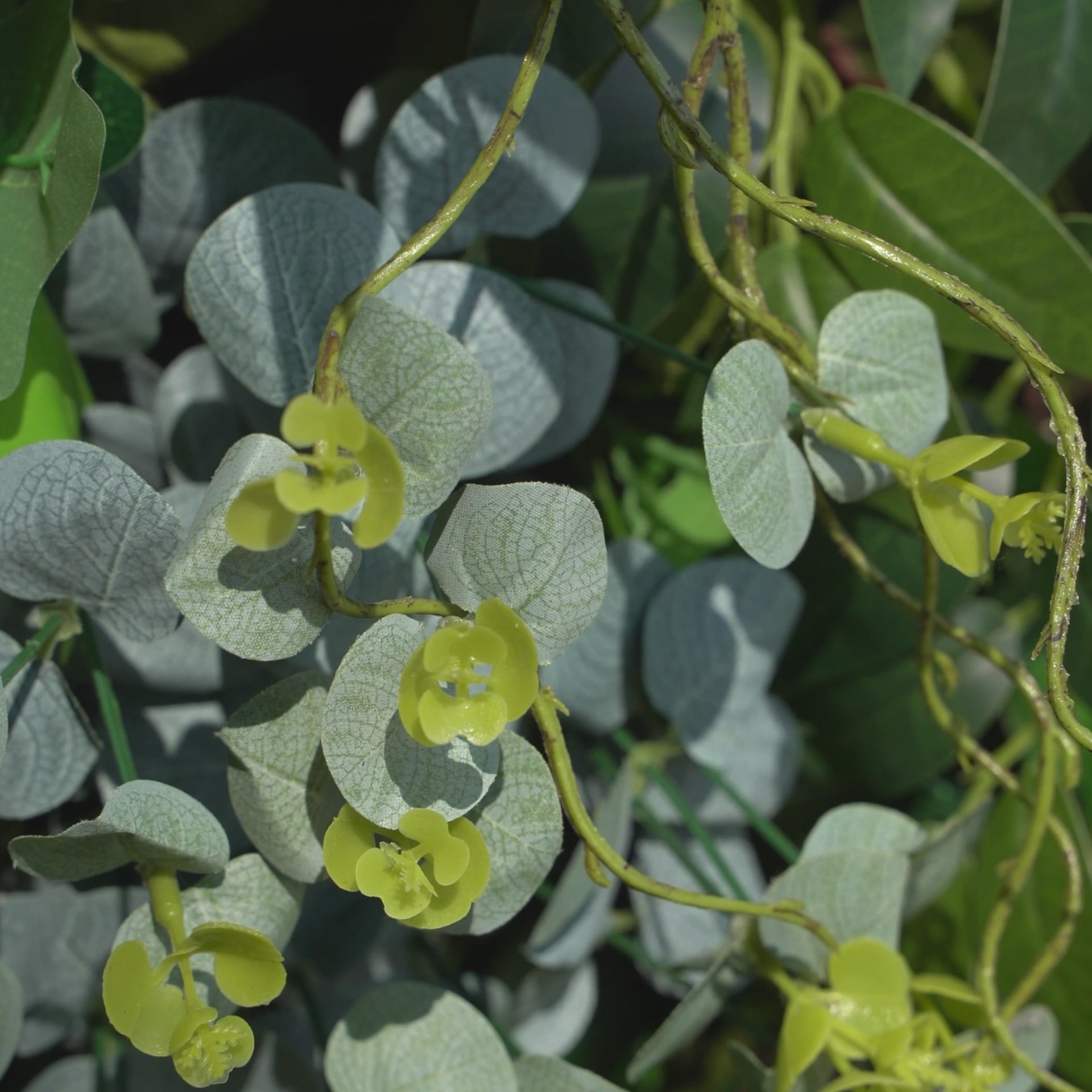 Brooklyn：5D Fabric Artificial rolling up curtain flower wall
