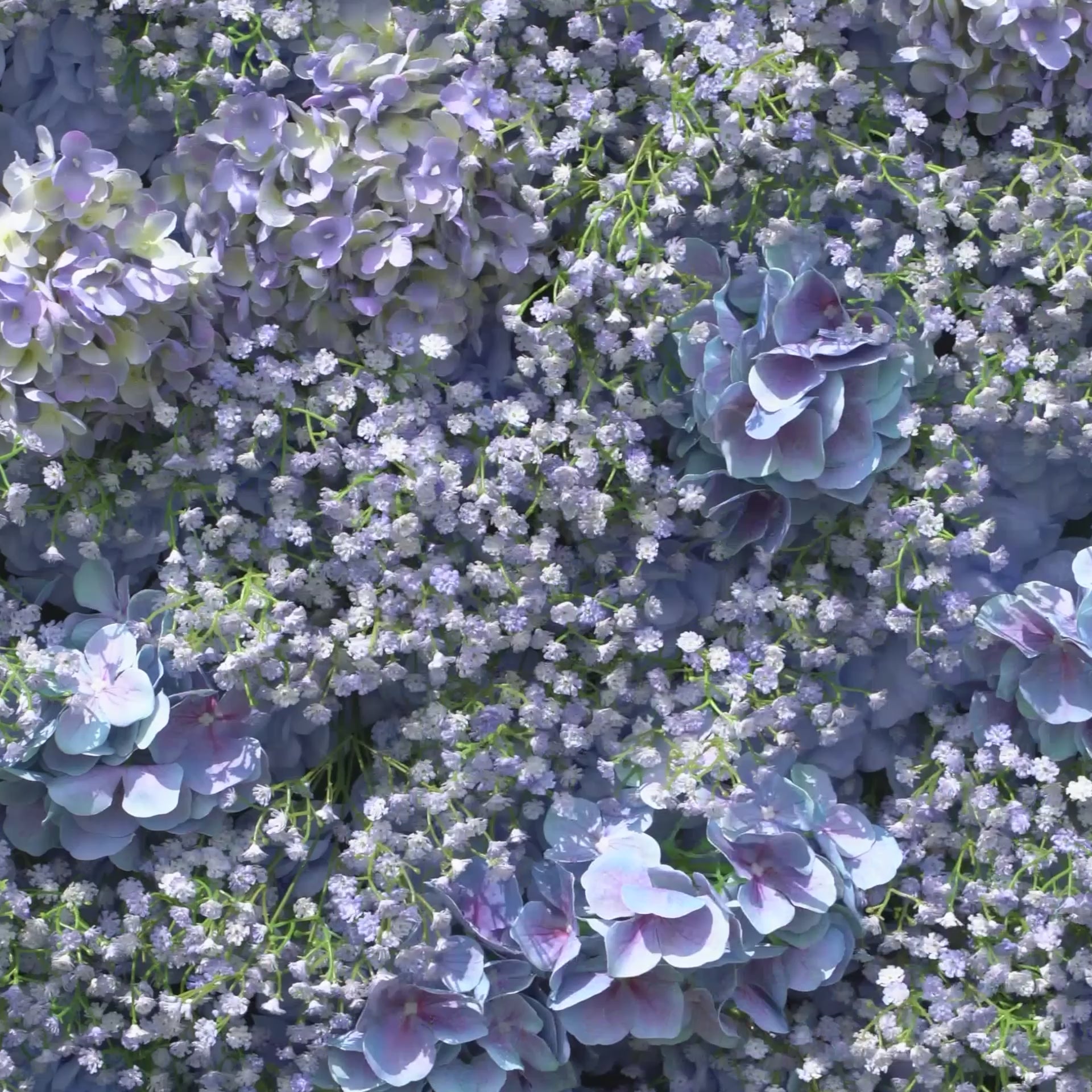 Fiona：5D Fabric Artificial rolling up curtain flower wall