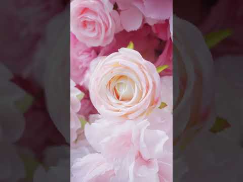 Kissing：5D Elegant Pink and White 5D Fabric Artificial Flower Rolling Curtain Perfect for Wedding &amp; Event (Ready to Ship))