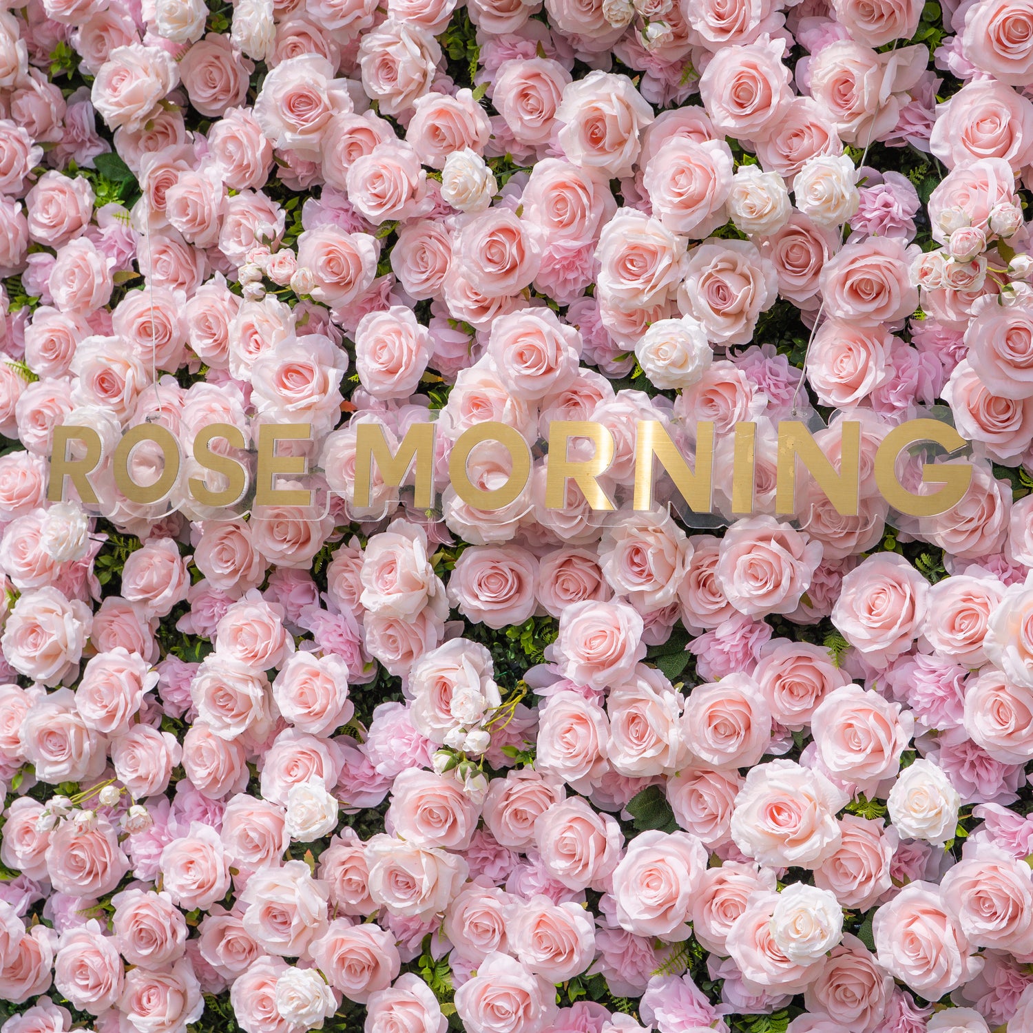 Querido：3D Fabric Artificial rolling up curtain flower wall