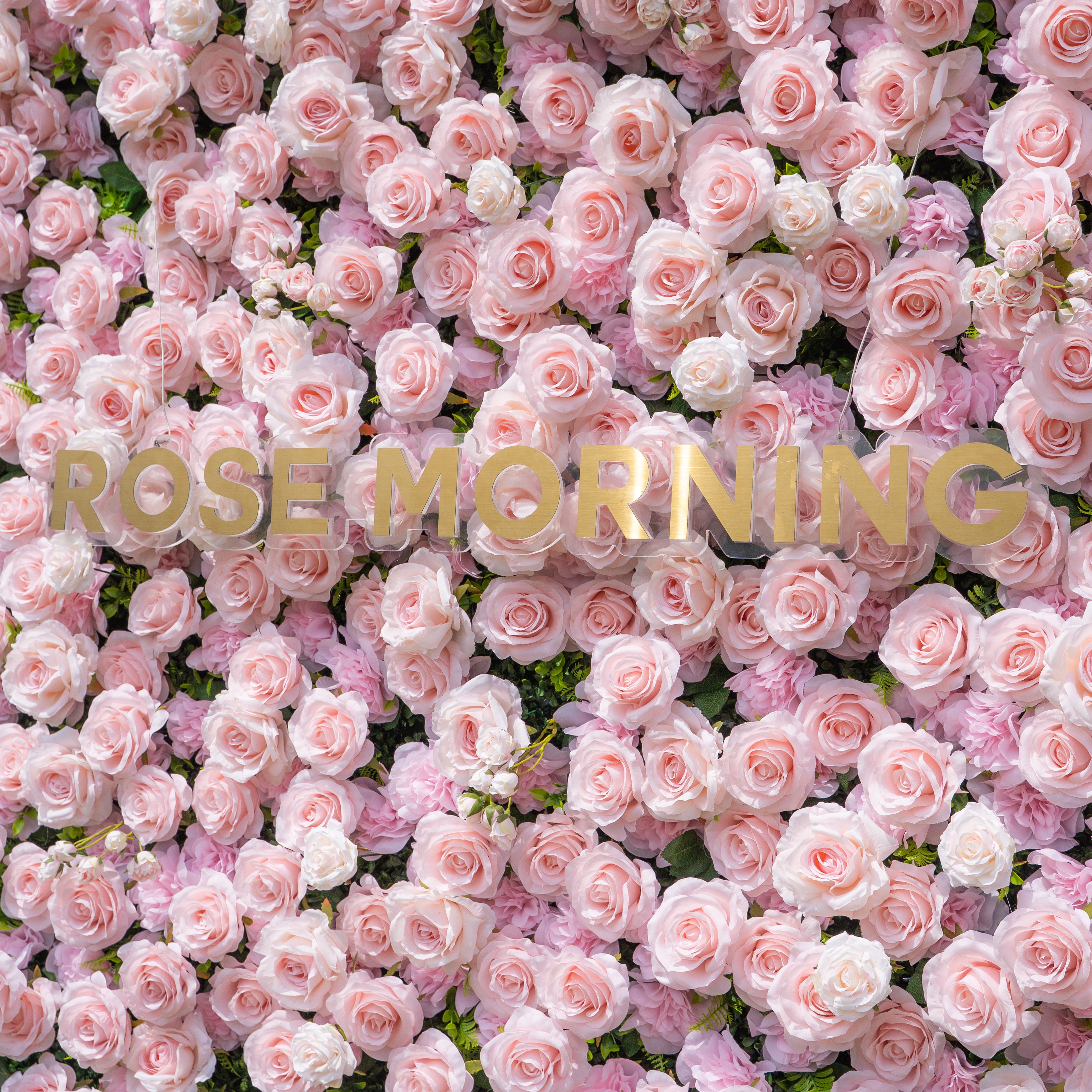 Querido：3D Fabric Artificial rolling up curtain flower wall